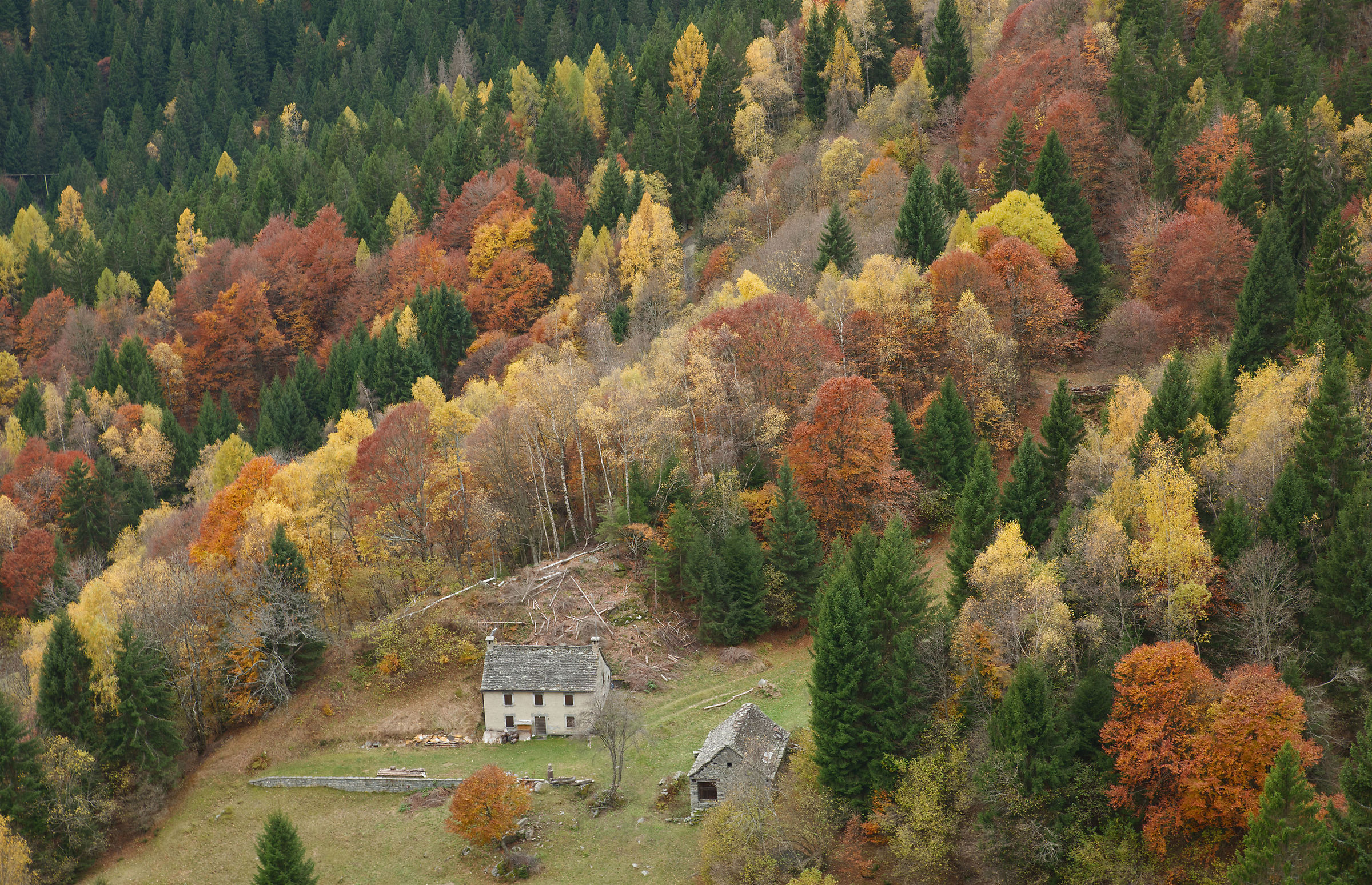 Val d'Ossola-the mountain pastures above Crodo