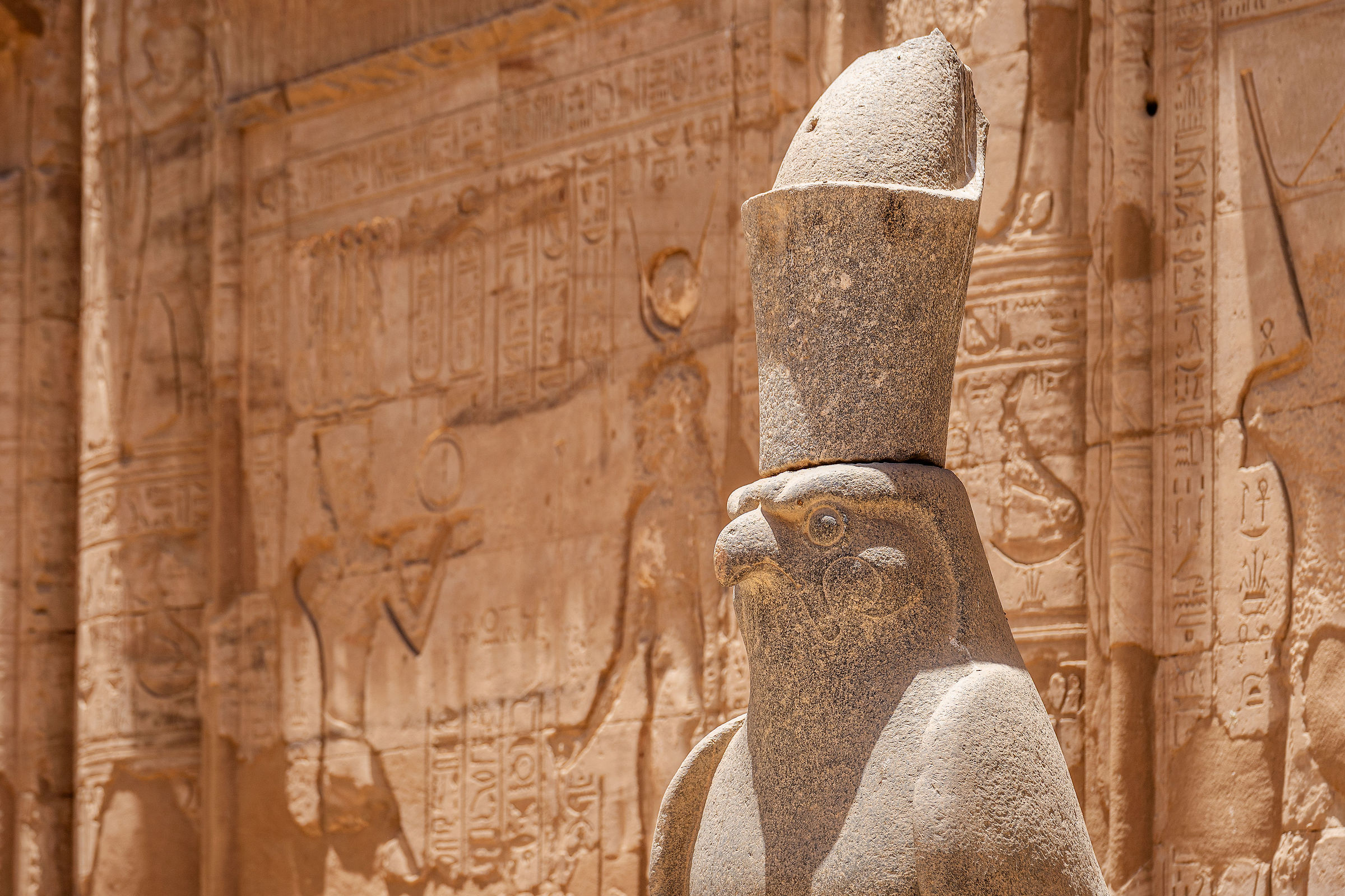 Horus