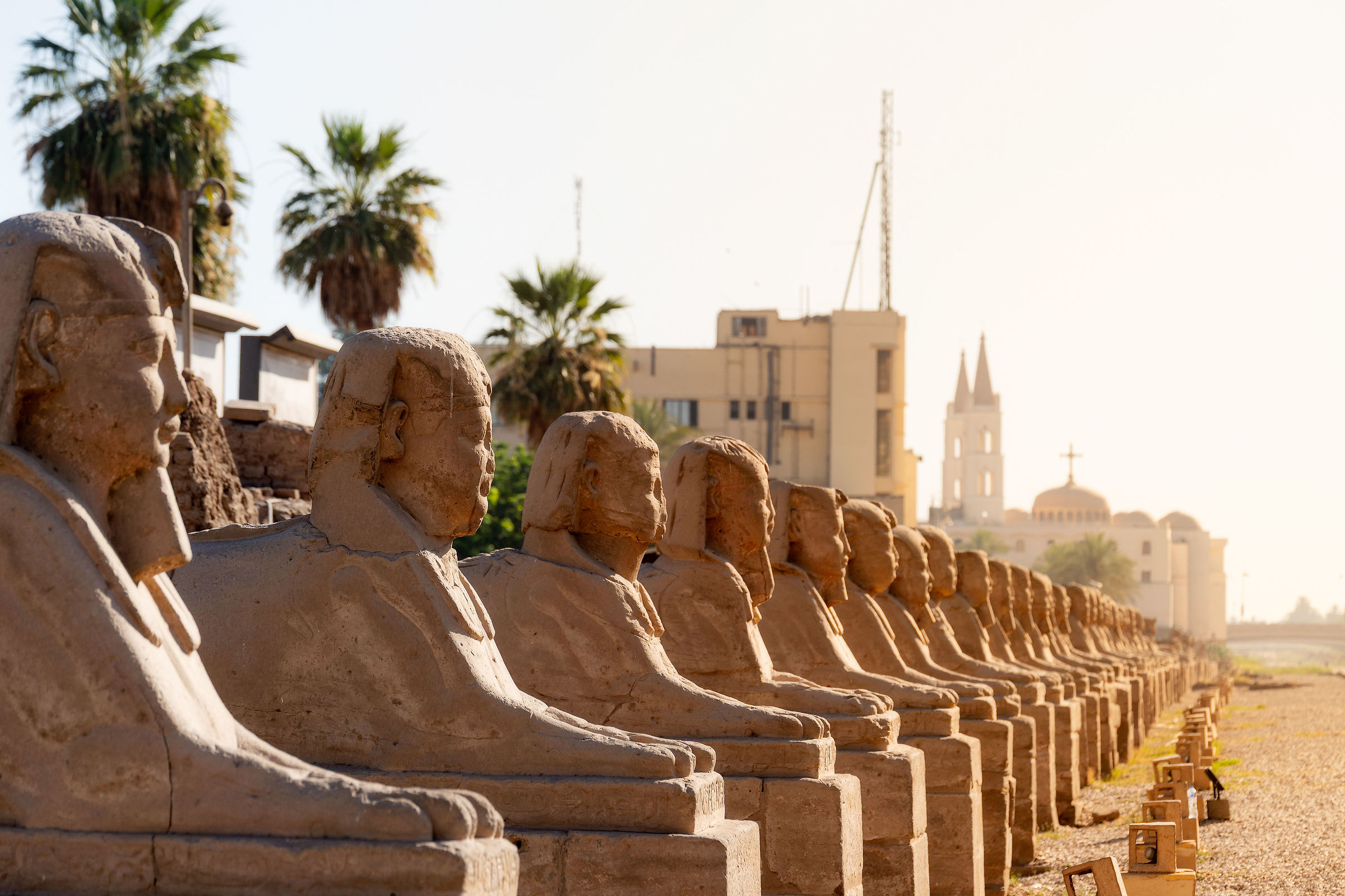 Avenue of the Sphynxes