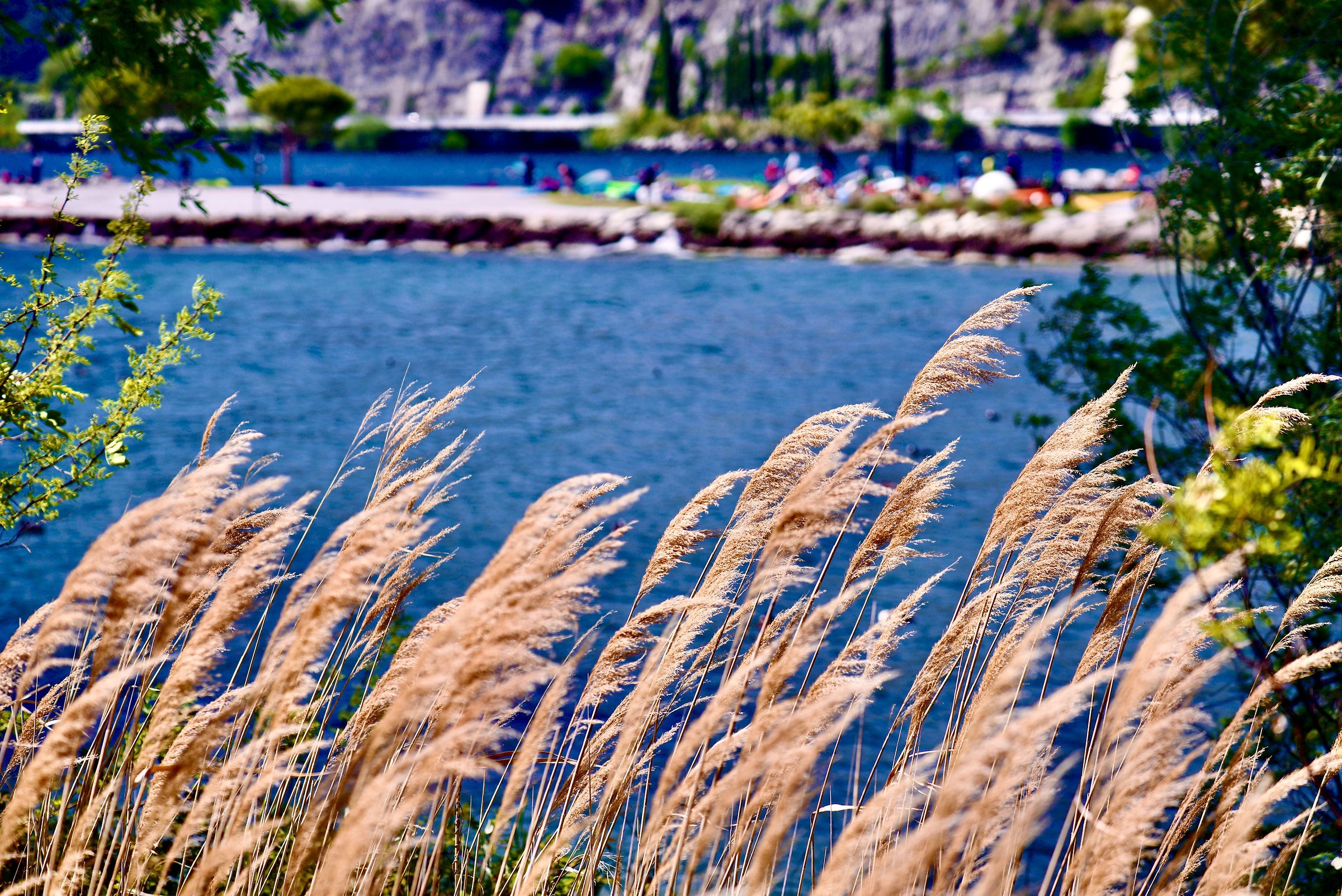 Foce del Sarca (Lago di Garda)