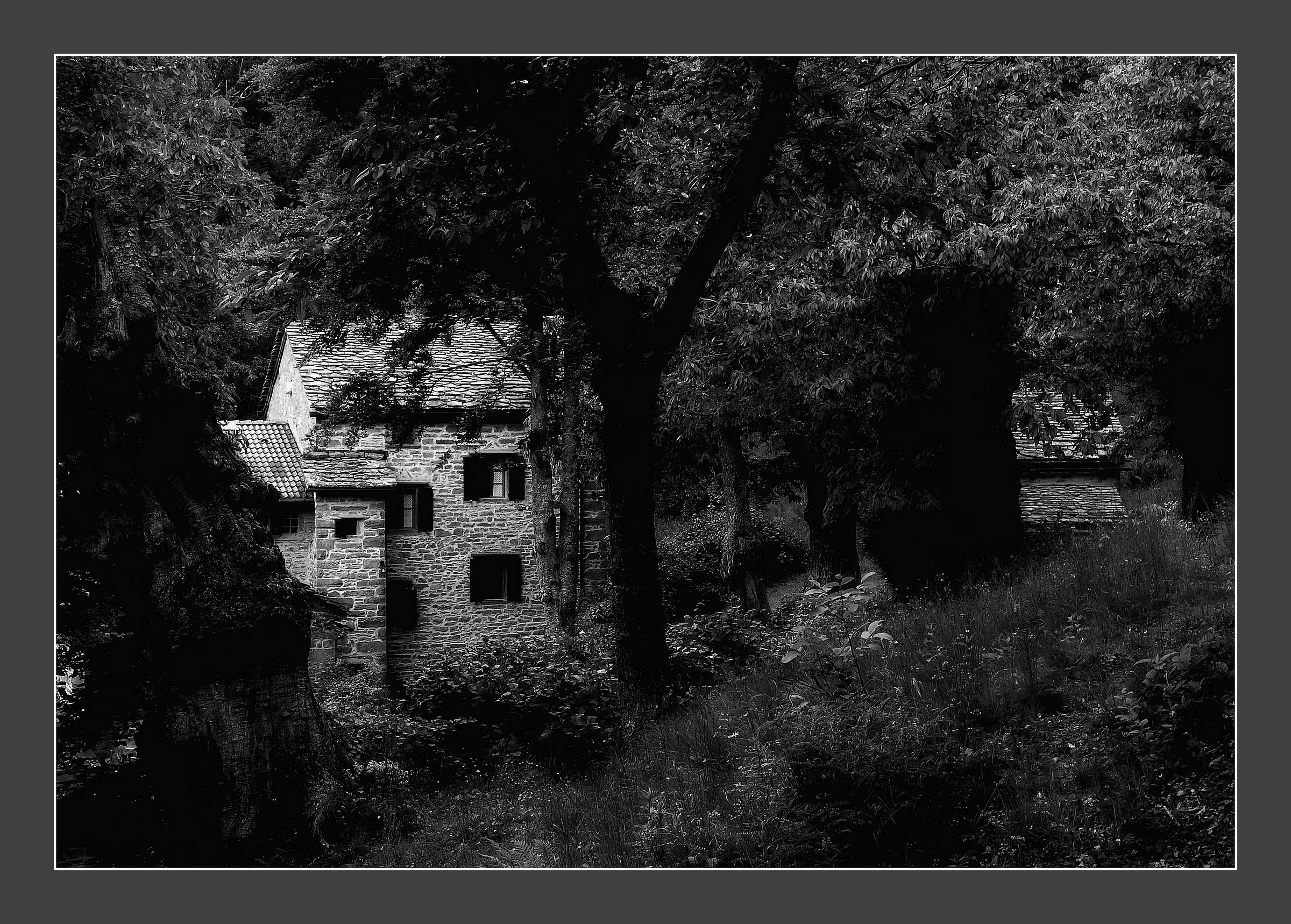 La Casa nel bosco