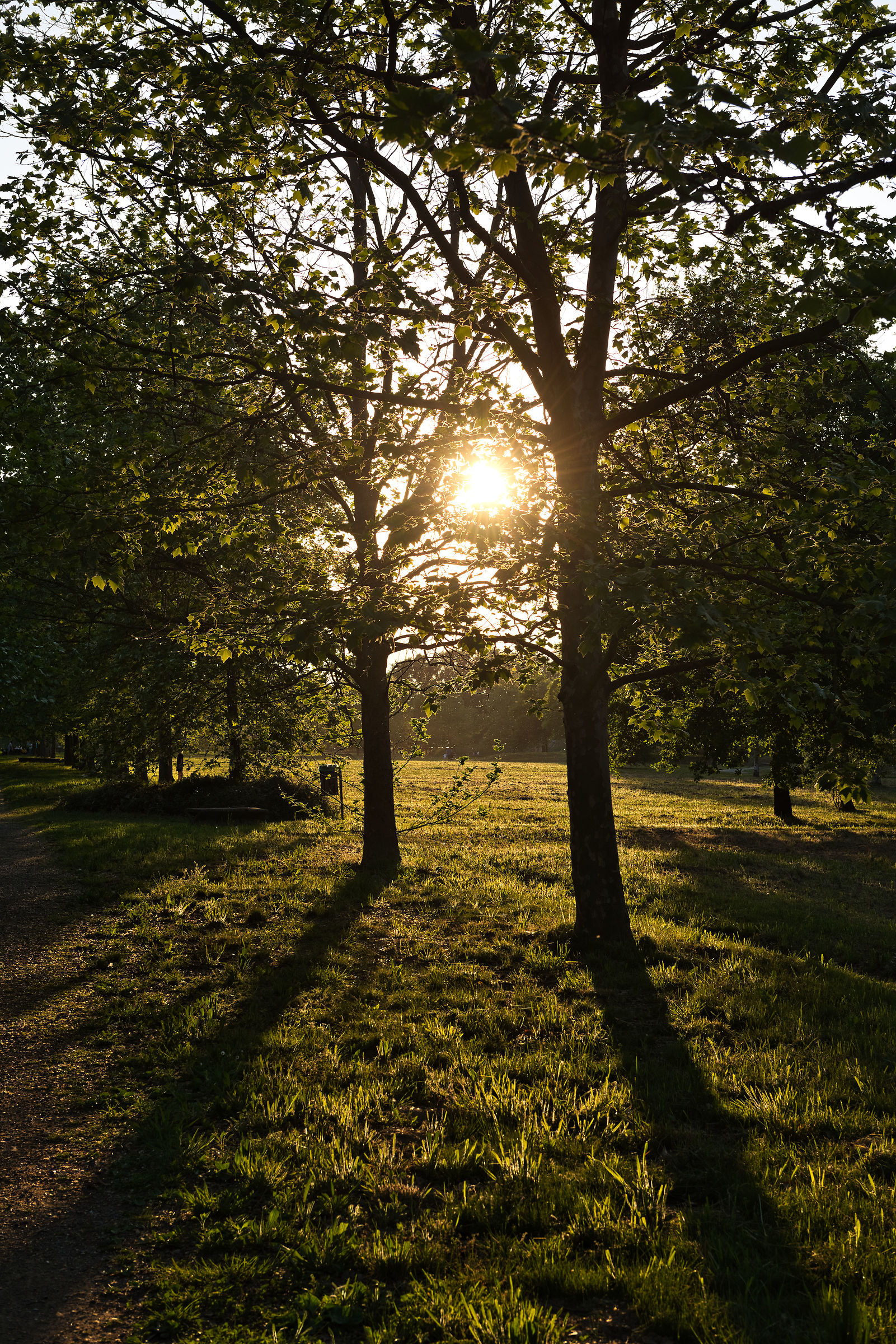 Untitled Photo