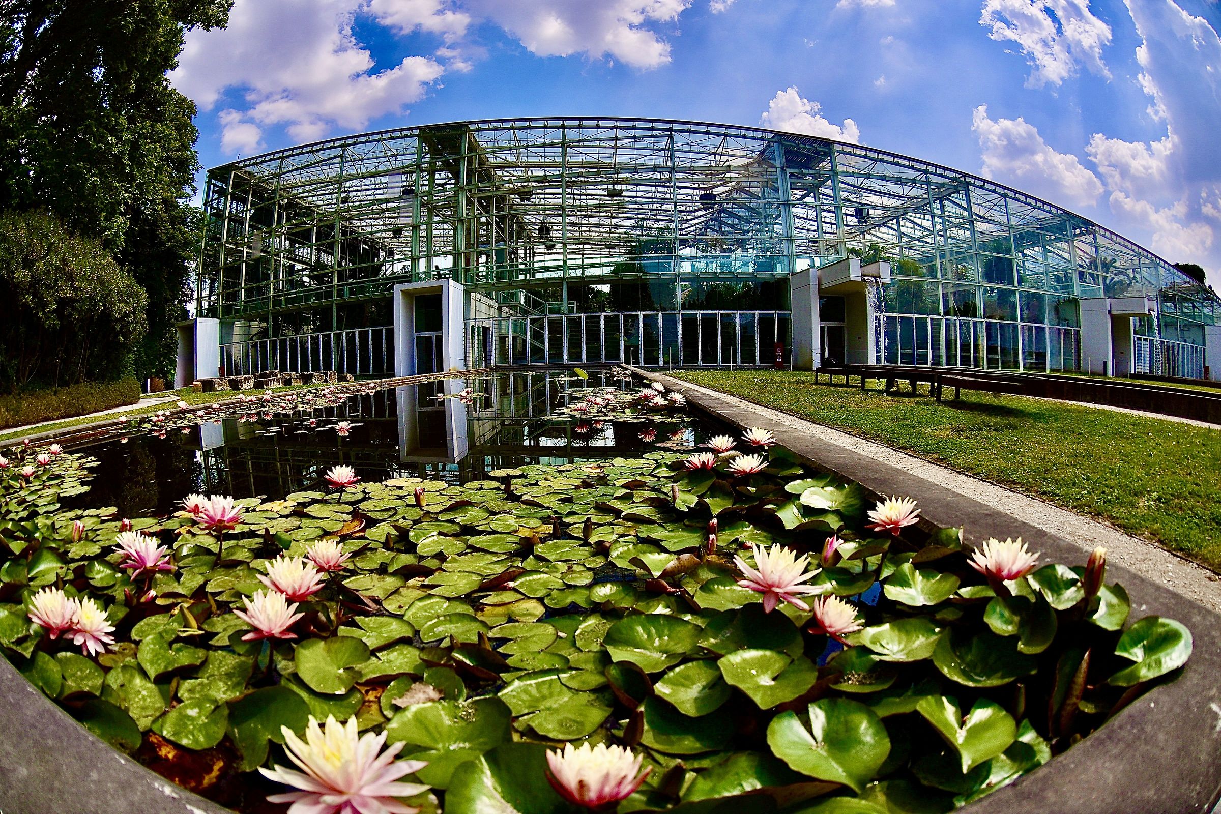 Orto botanico