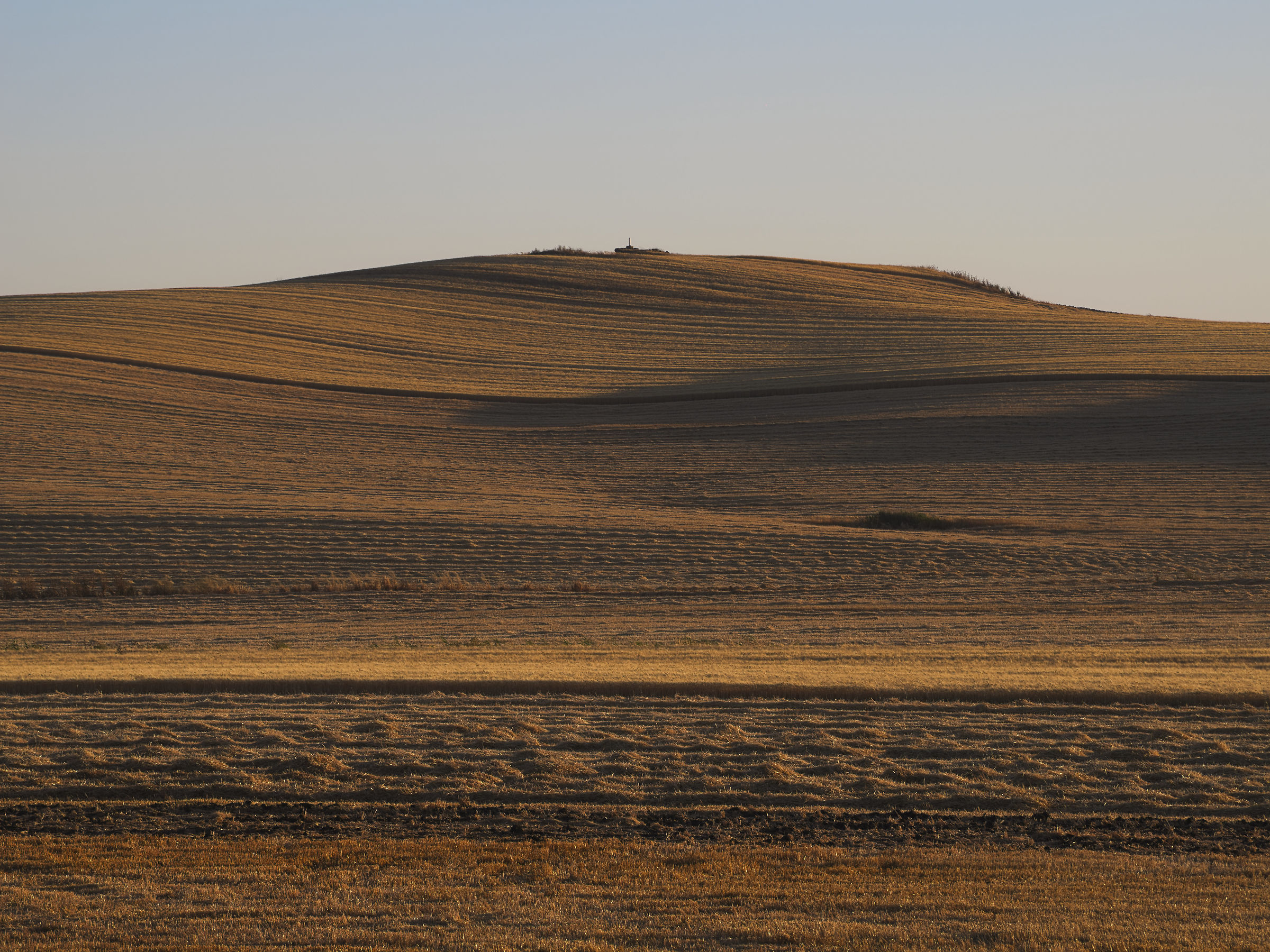 After the Harvest in Capitanata