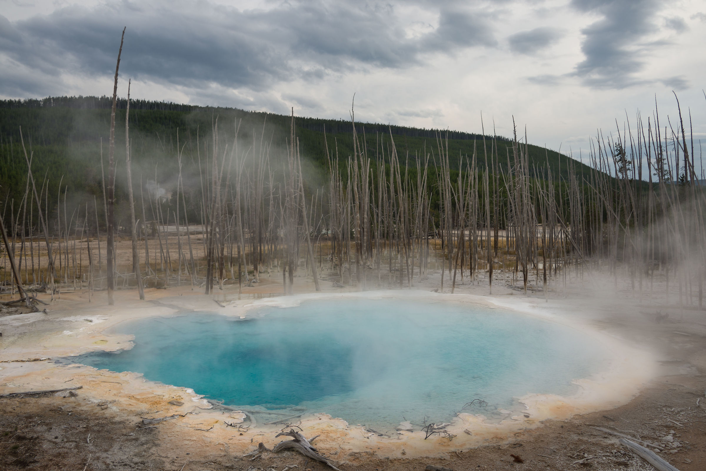 Norris Geyser Basin