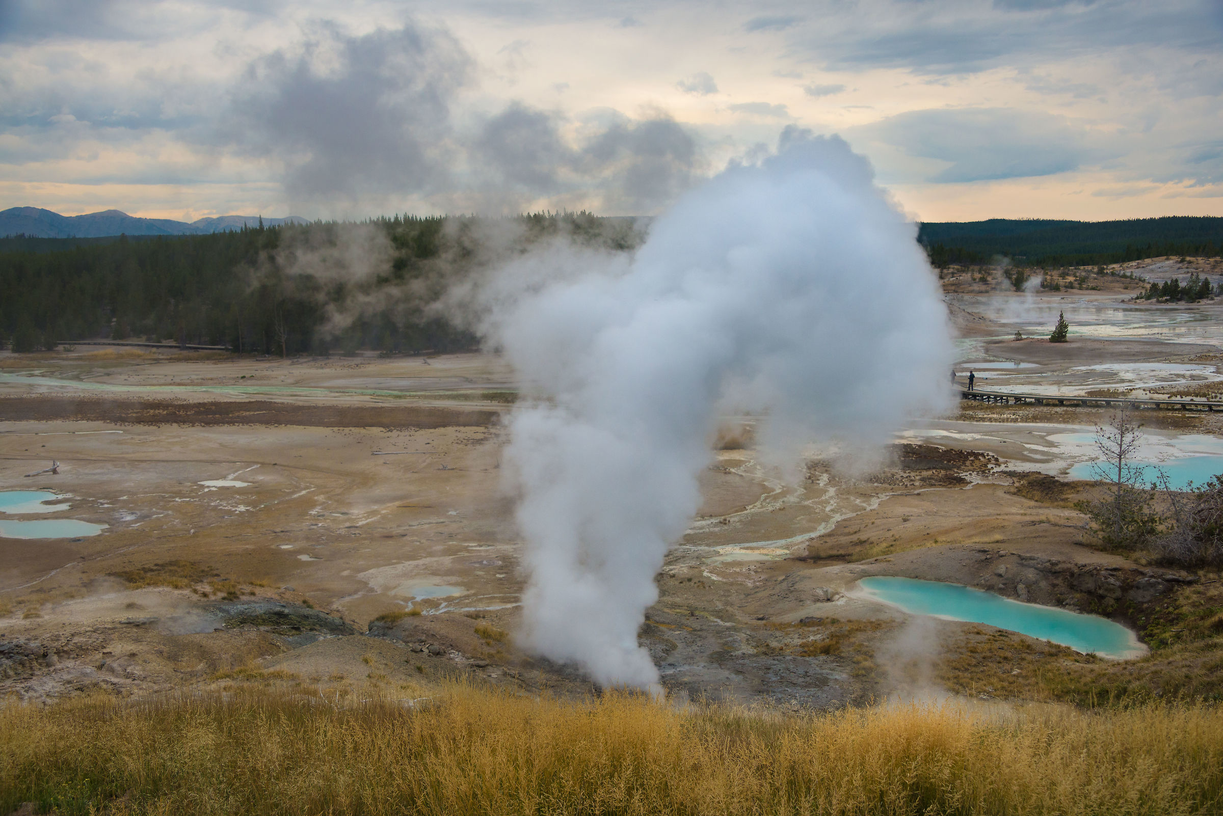 Norris Geyser Basin