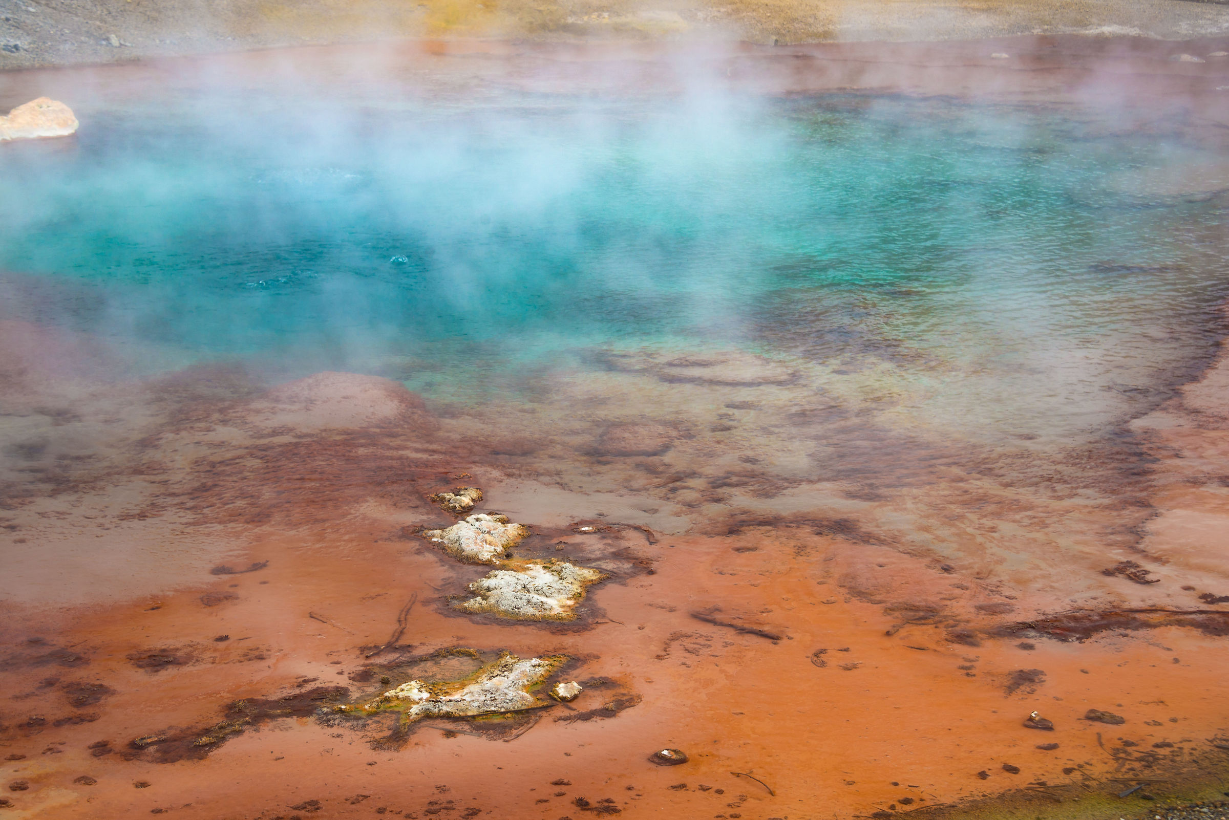 Norris Geyser Basin