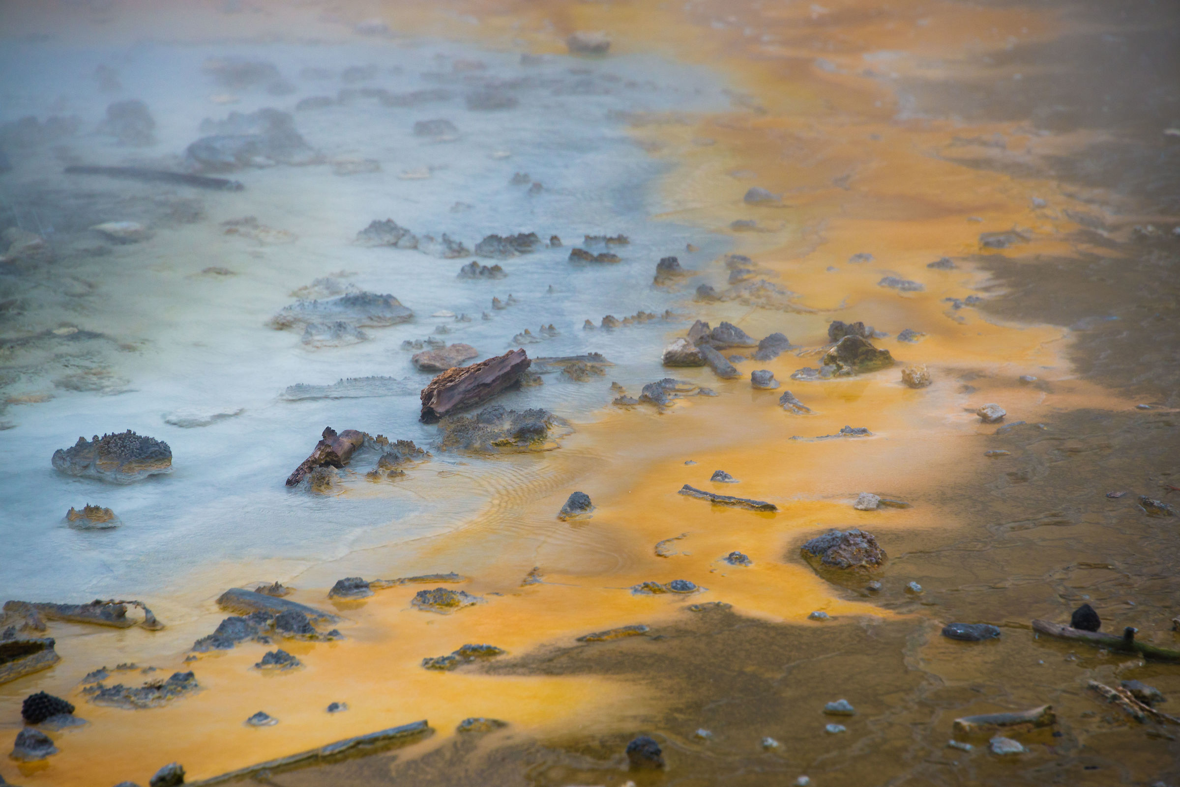 Norris Geyser Basin