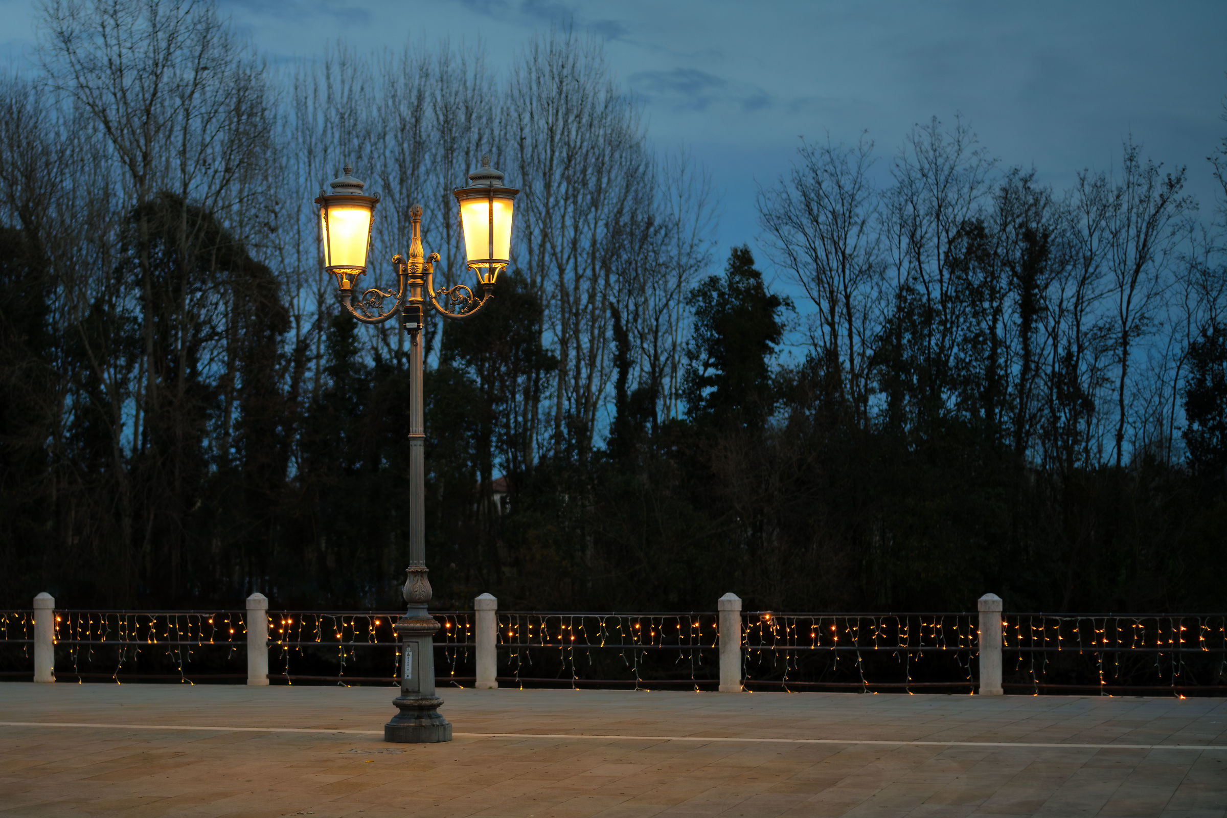TEST Fujinon 55 f/1.6 M42
