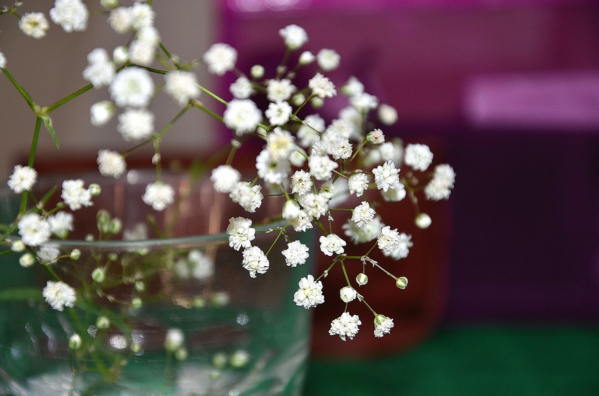 occhio ai bianchi...!