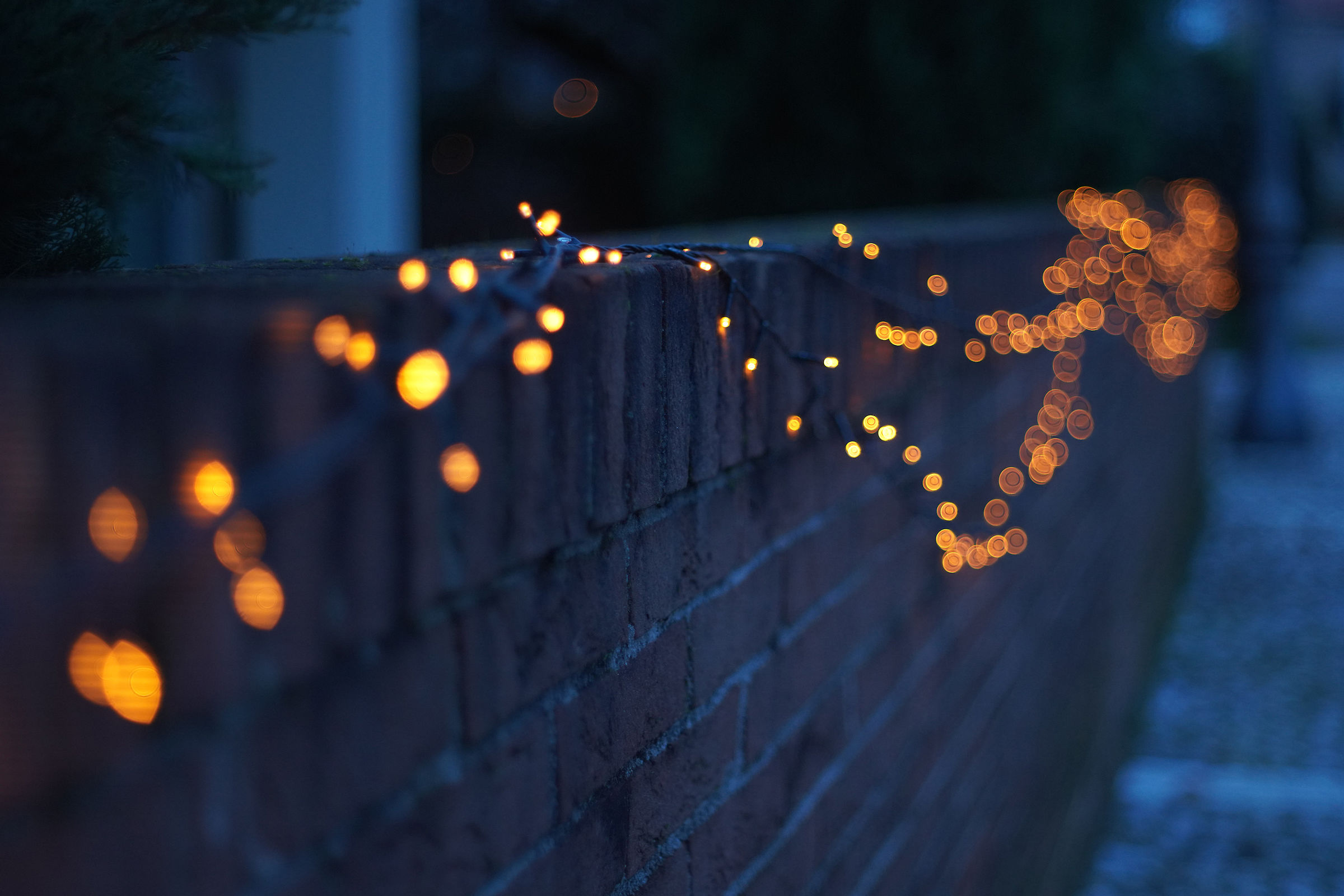 TEST Fujinon 55mm f/1.6 m42