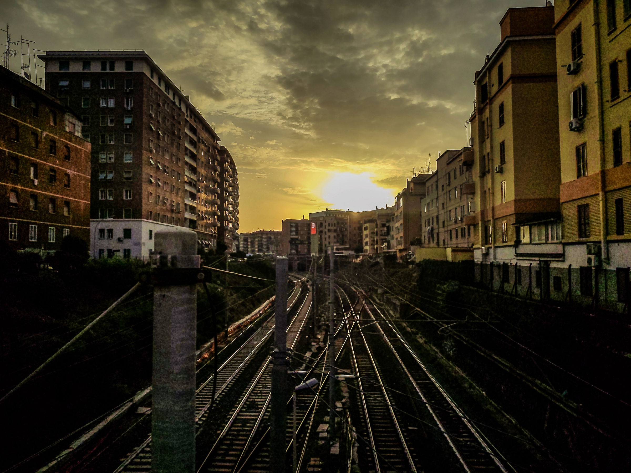 Untitled Photo