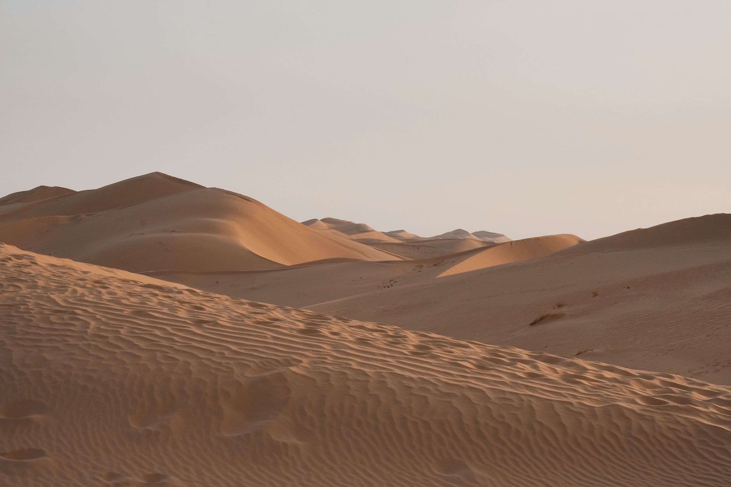 Sahara, Algeria 2026