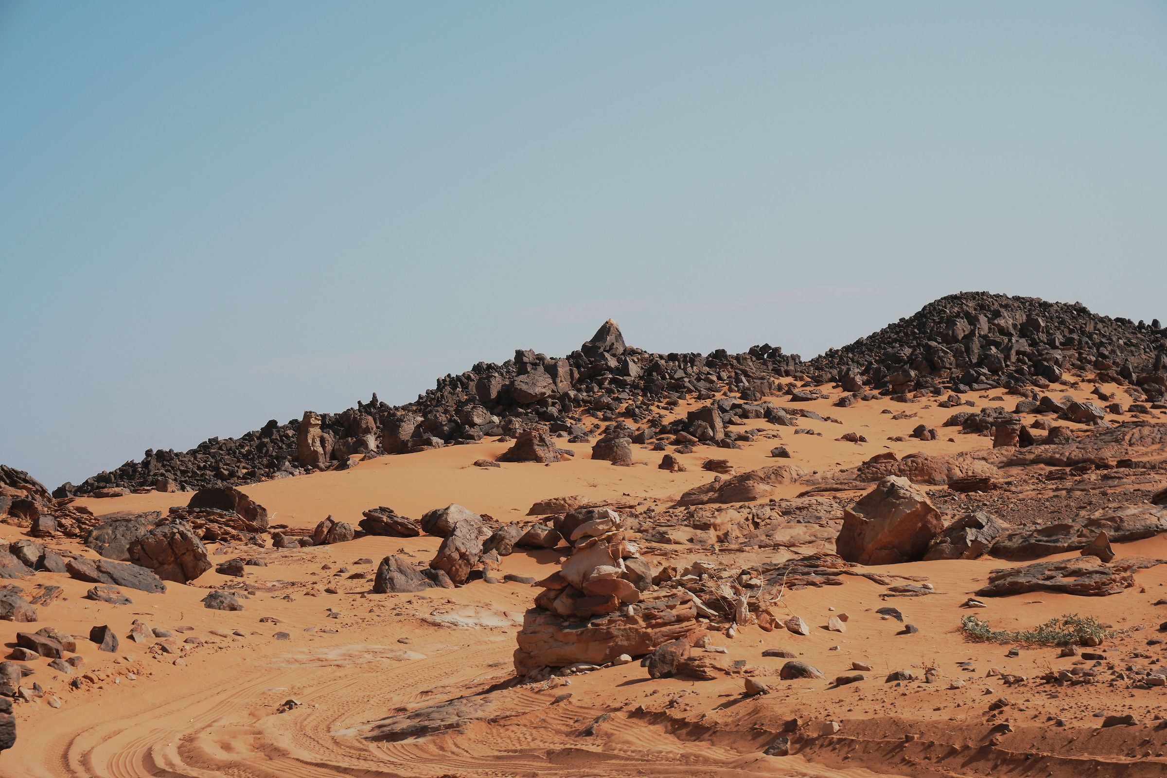Sahara, Algeria 2026