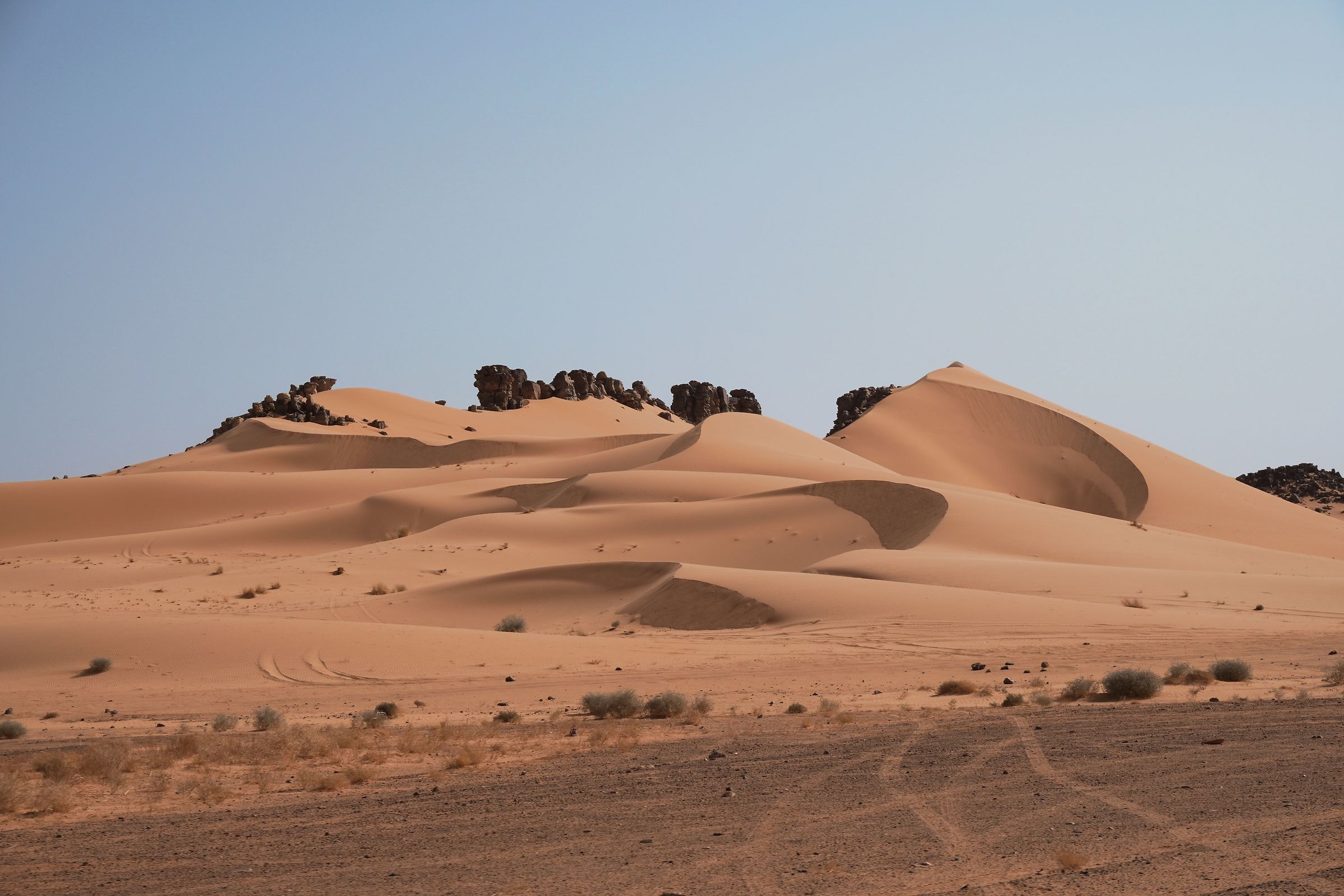 Sahara, Algeria 2026
