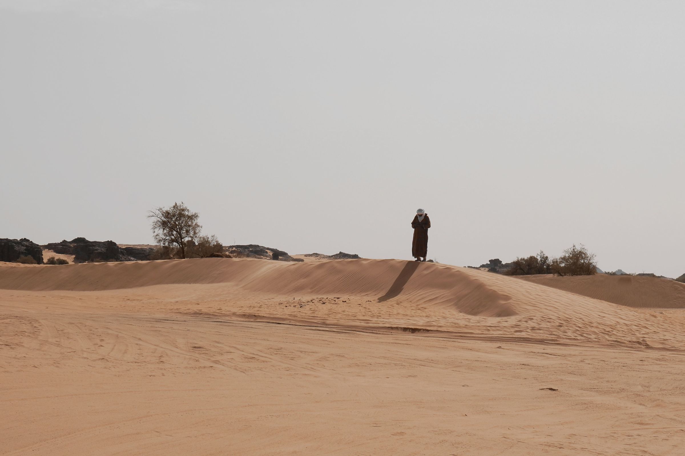 Sahara, Algeria 2026