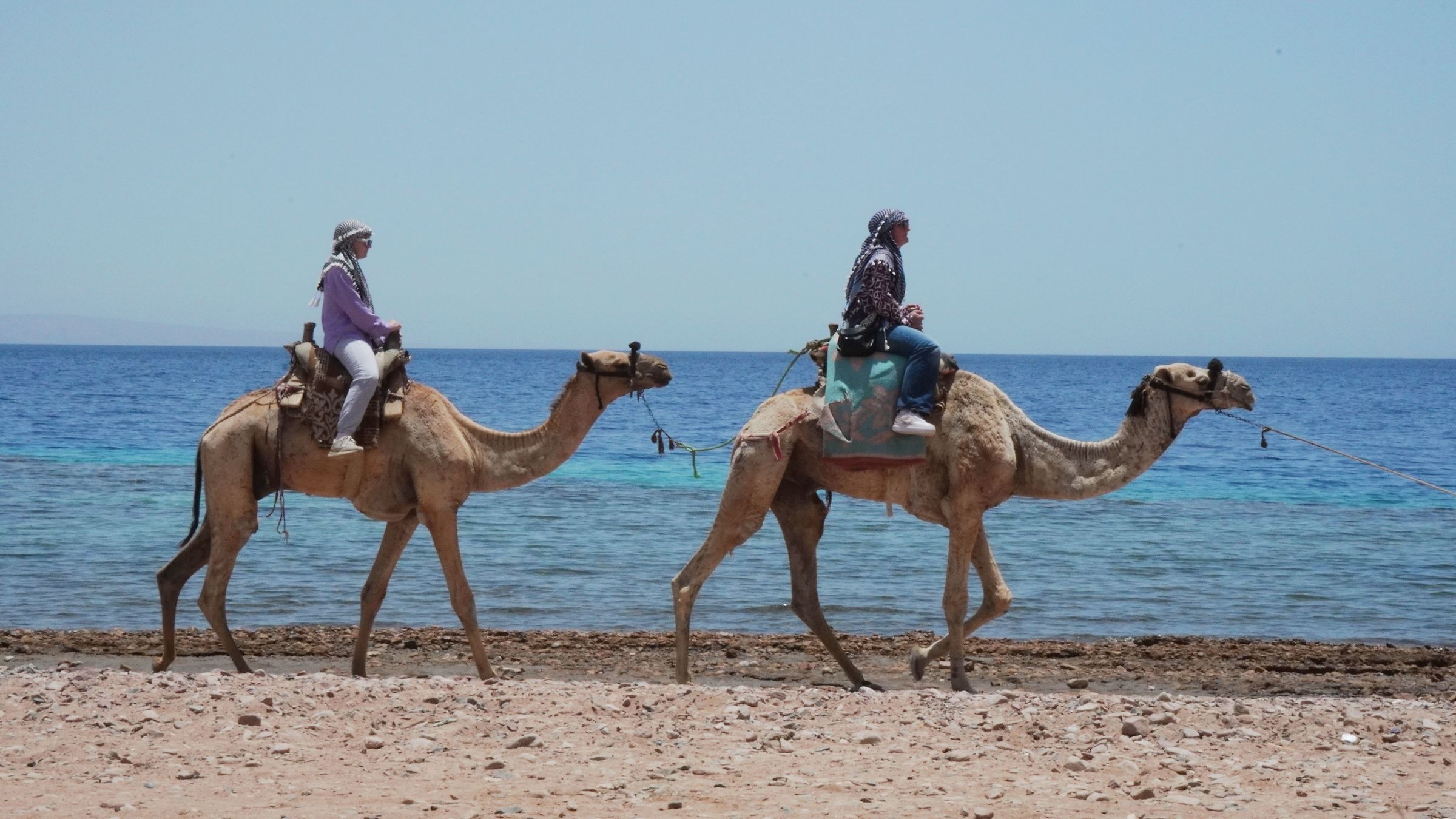 Sharm El Sheik, 2026