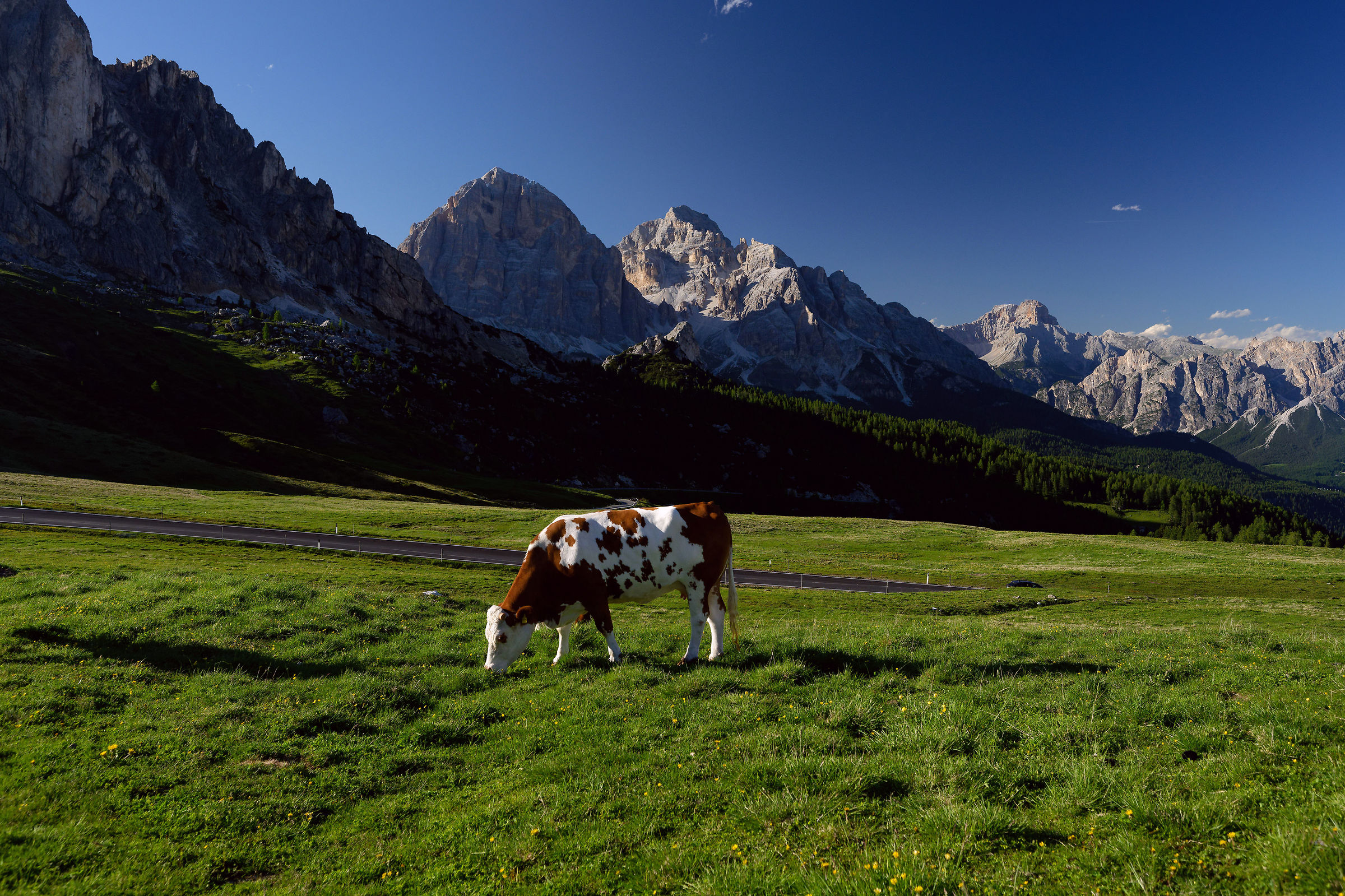 Segantini al passo Giau