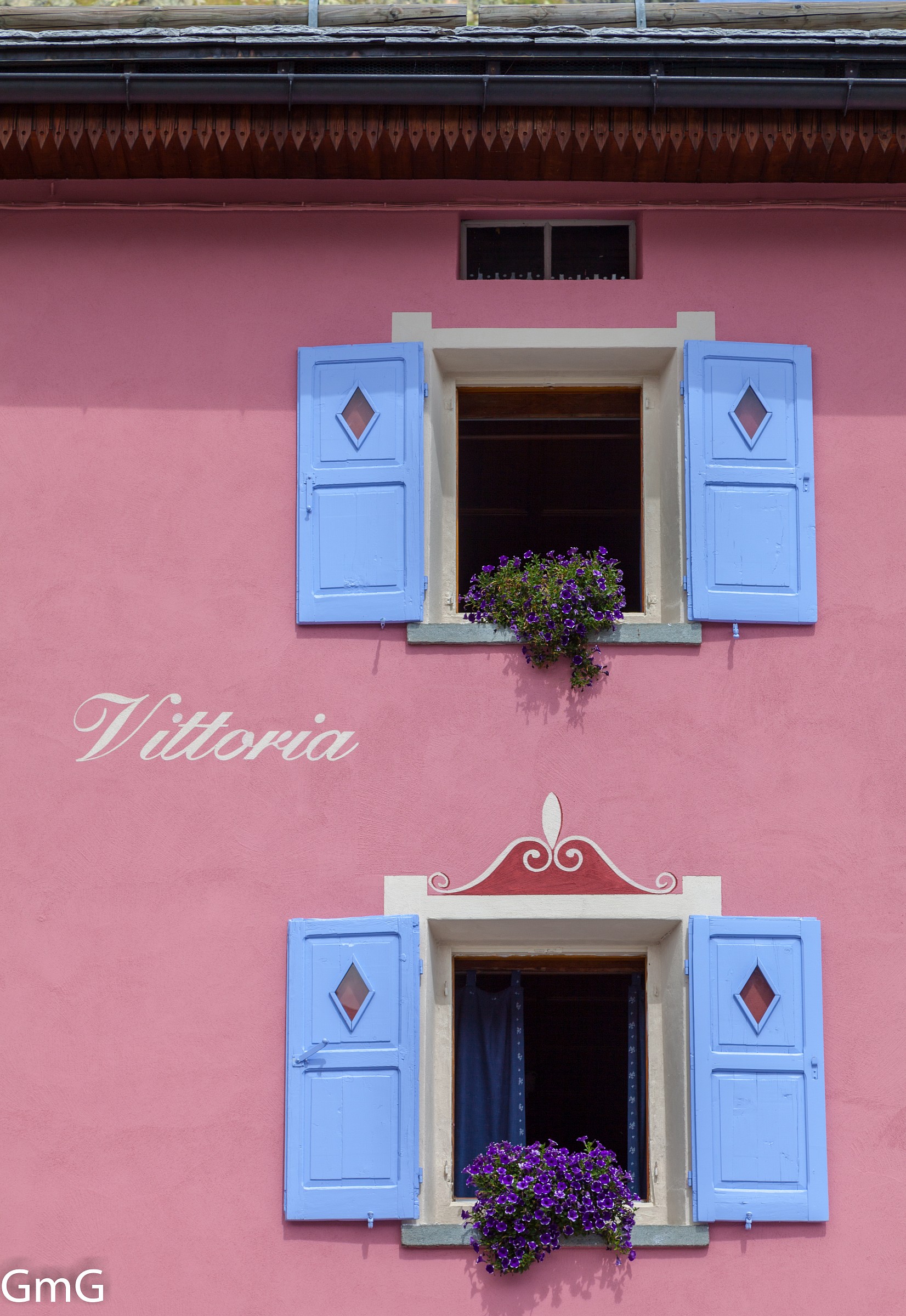 Flowers on the windows