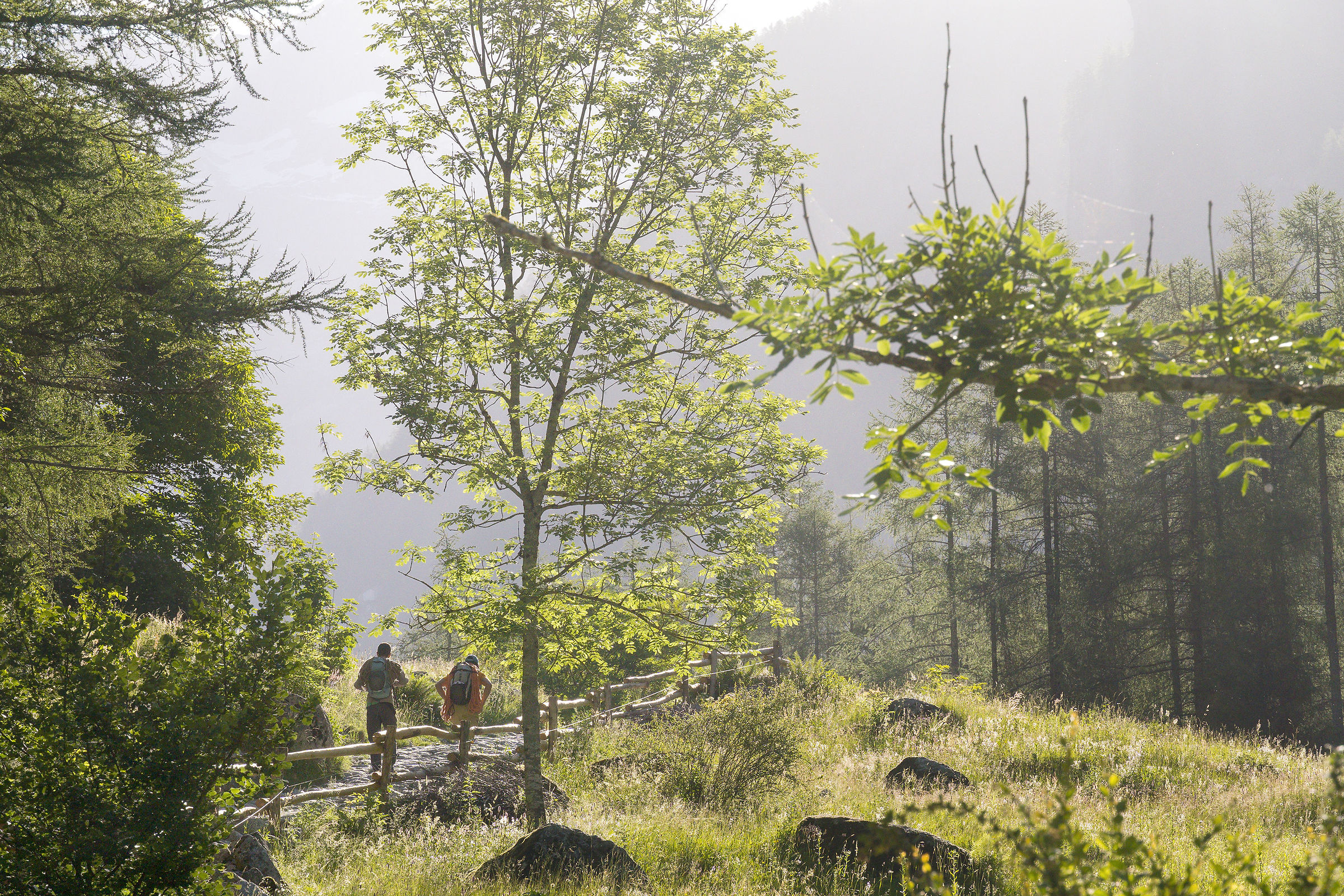 Towards adventure