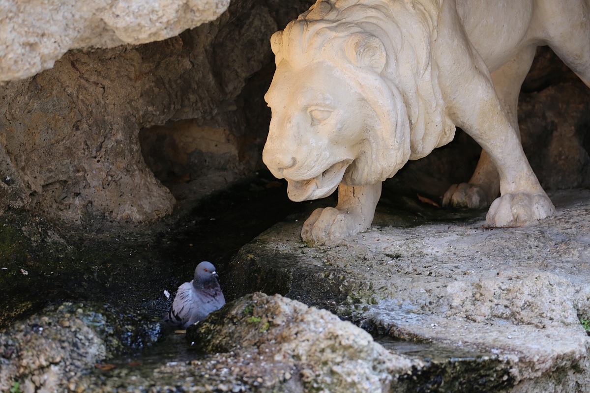 LEONE(di marmo) a caccia