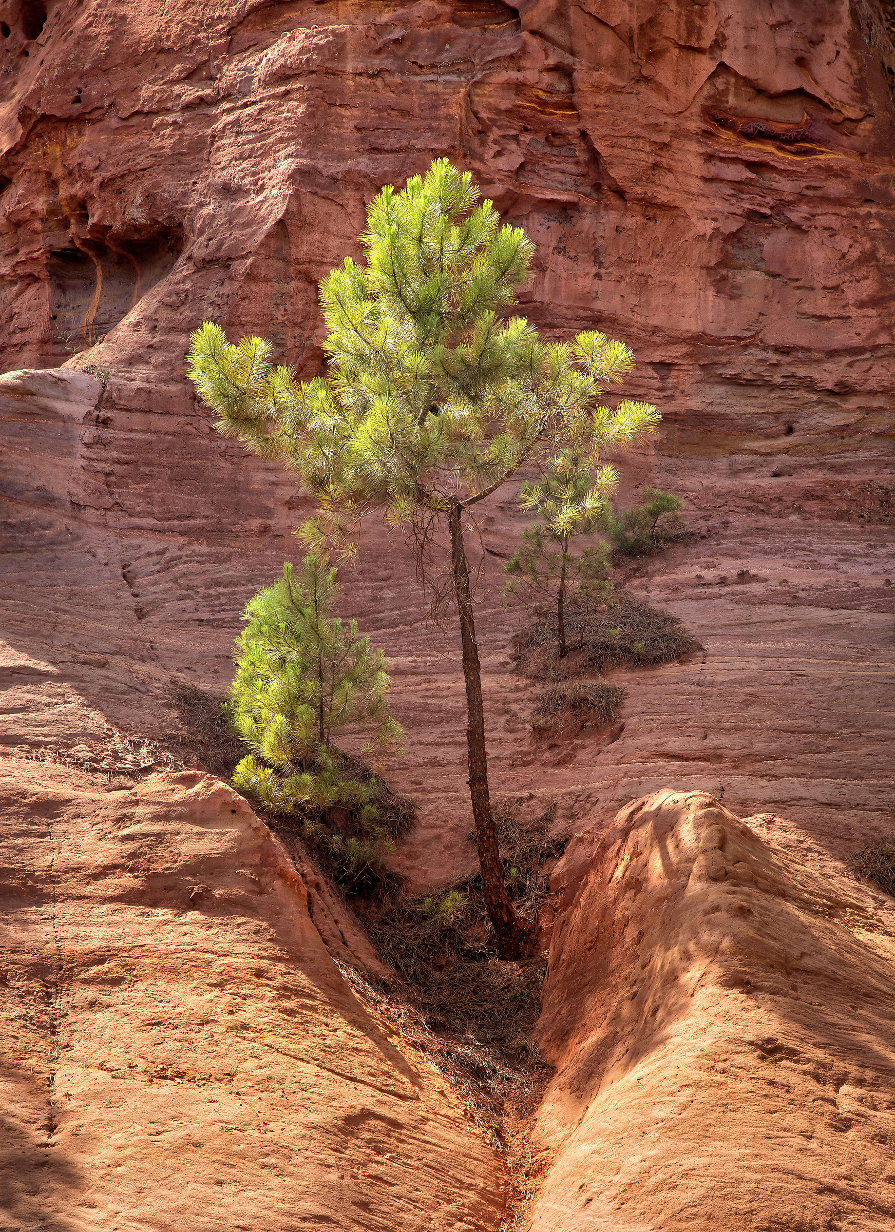 Roussillon
