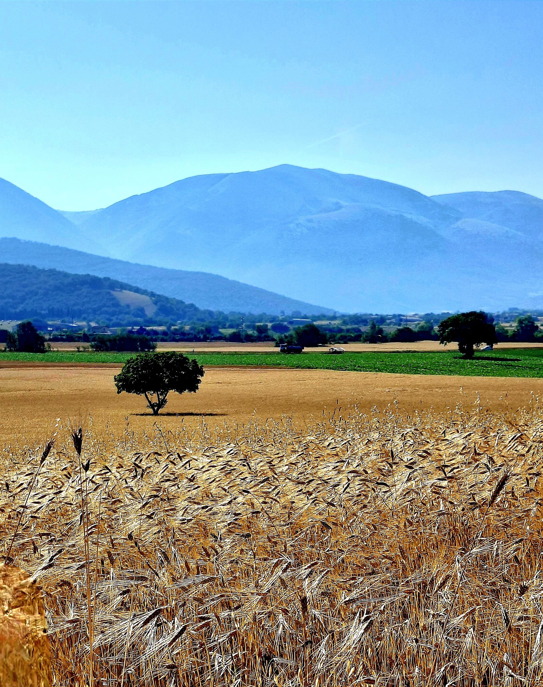 Norcia (campagna)