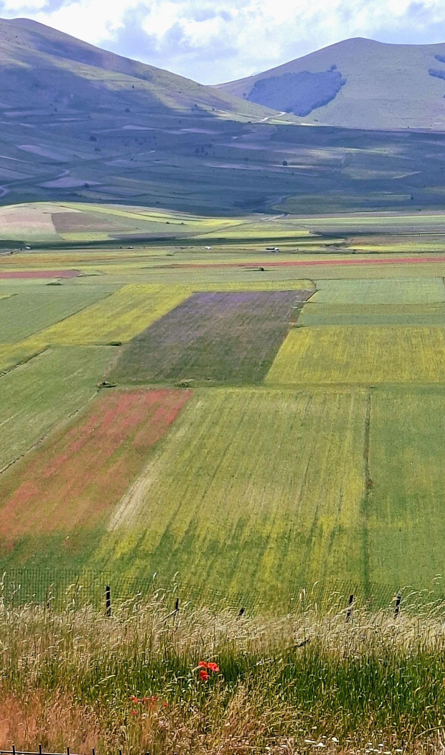 22 giugno Castelluccio di Norcia