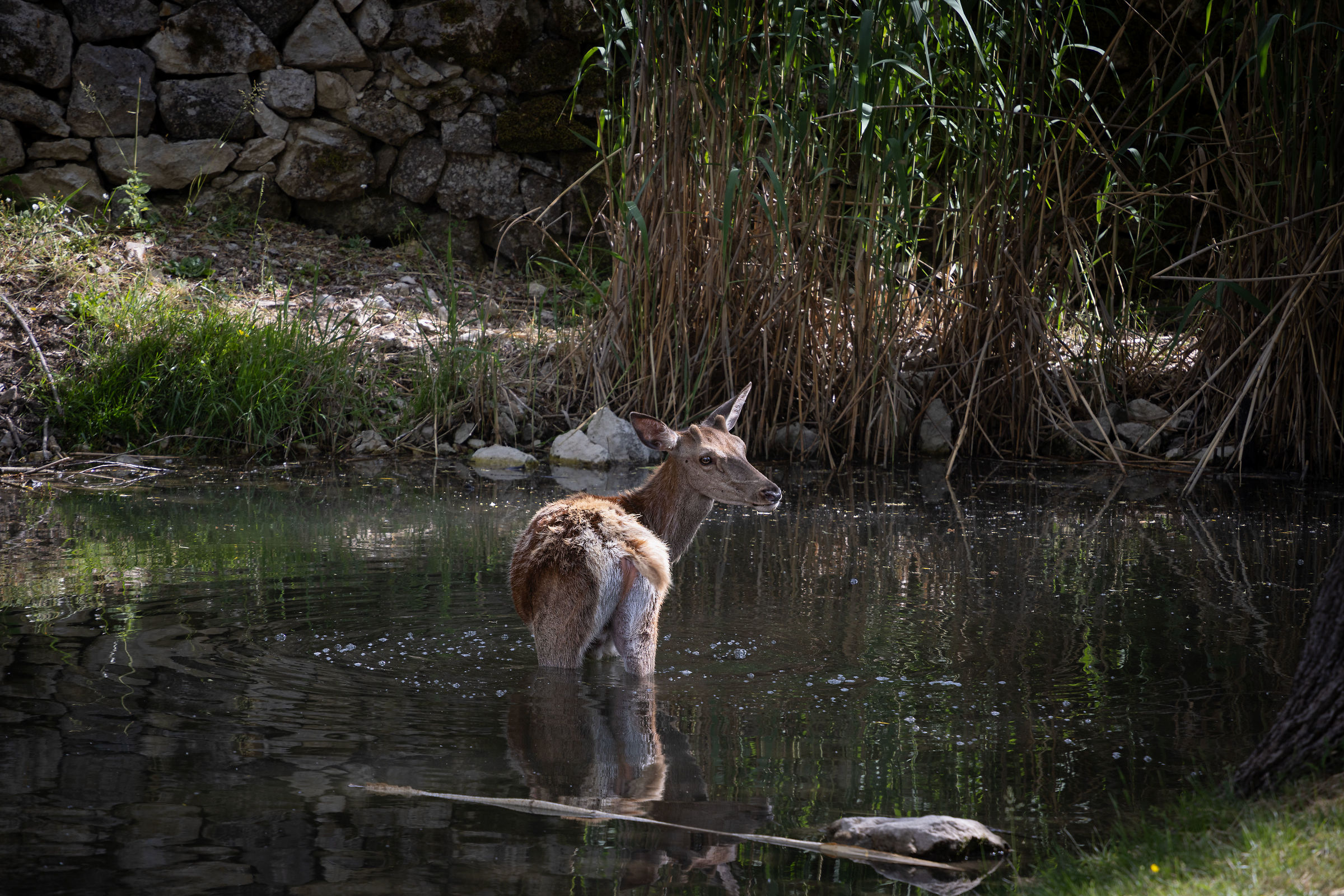 Primi caldi... primi bagni