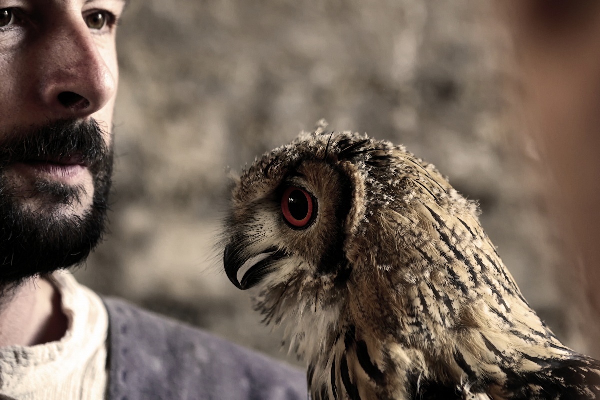 Mercato delle Gaite, 2013 - Bevagna - Photo 16