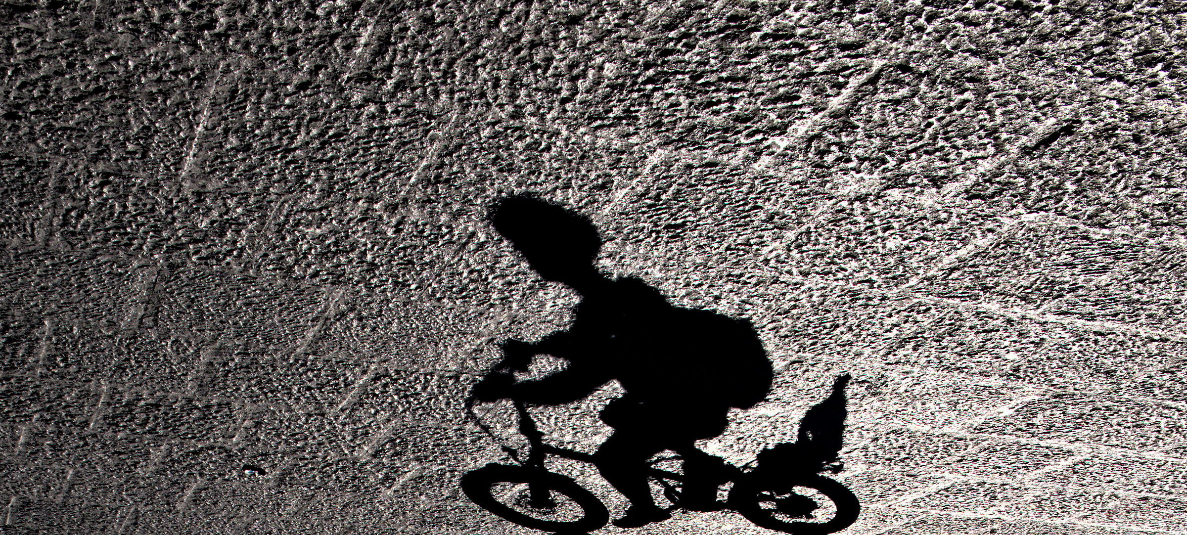 WORKING IN THE SHADOWS