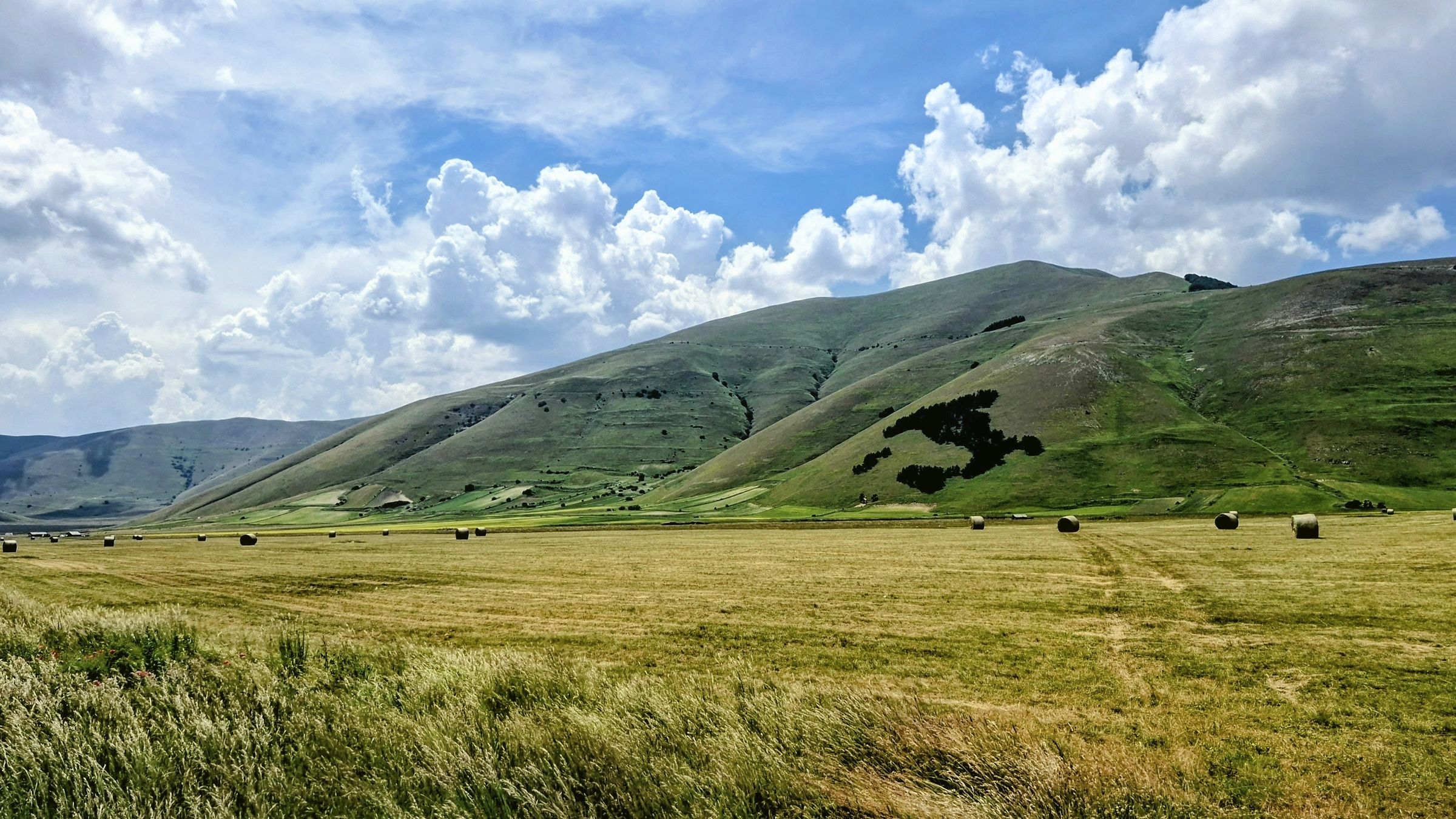W l'Italia (Castelluccio  di Norcia)