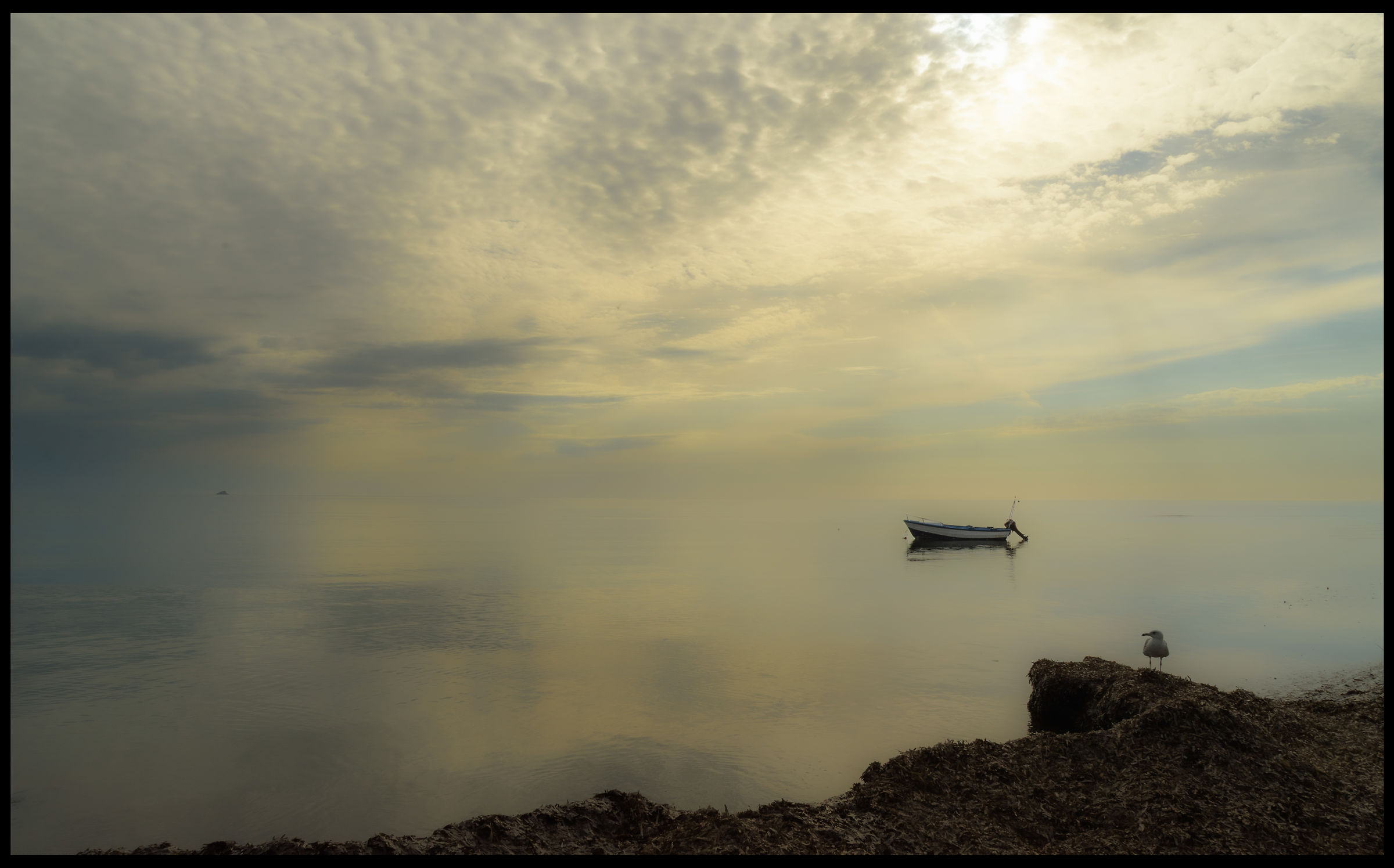 Untitled Photo