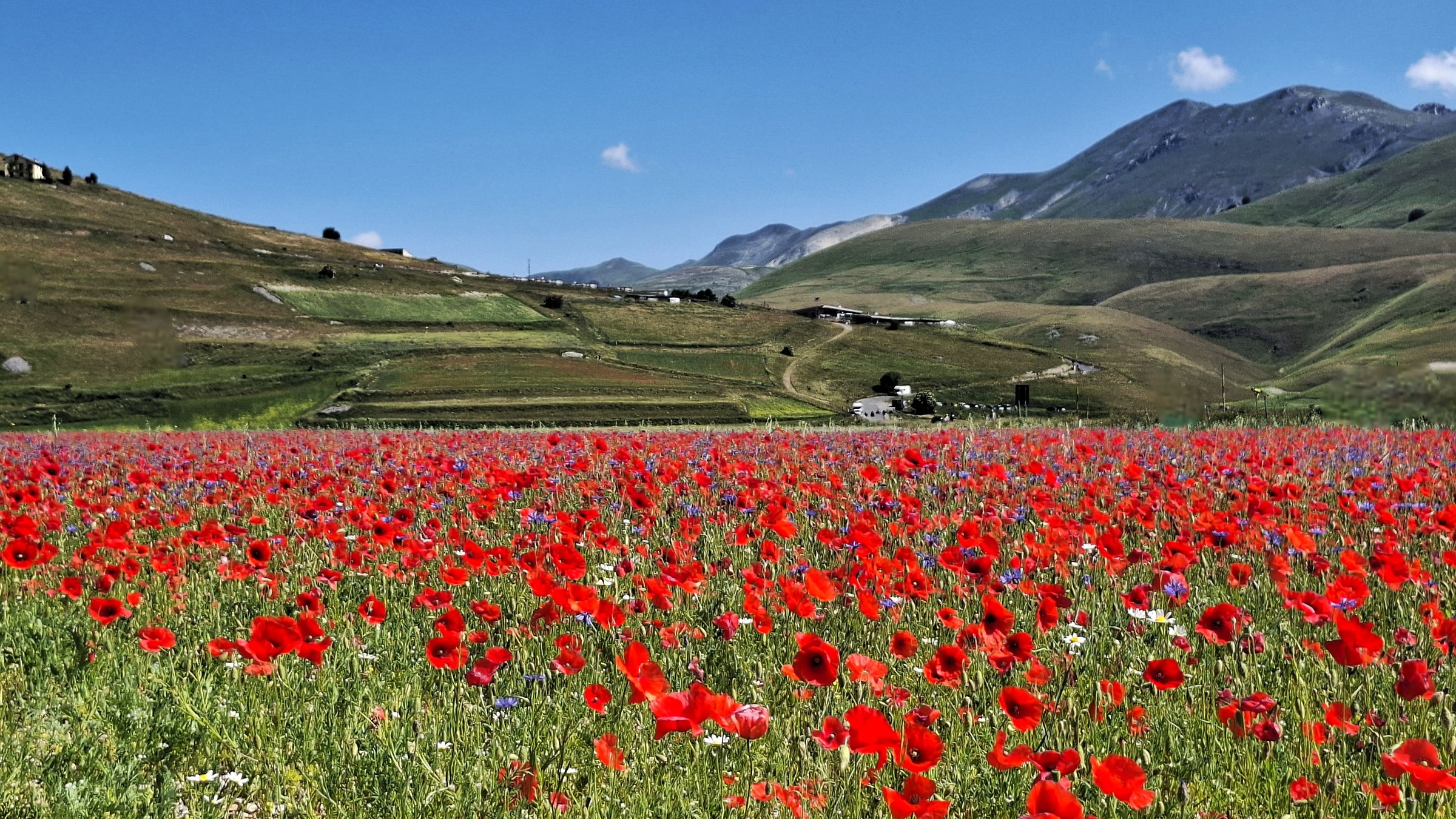 Castelluccio di Norcia