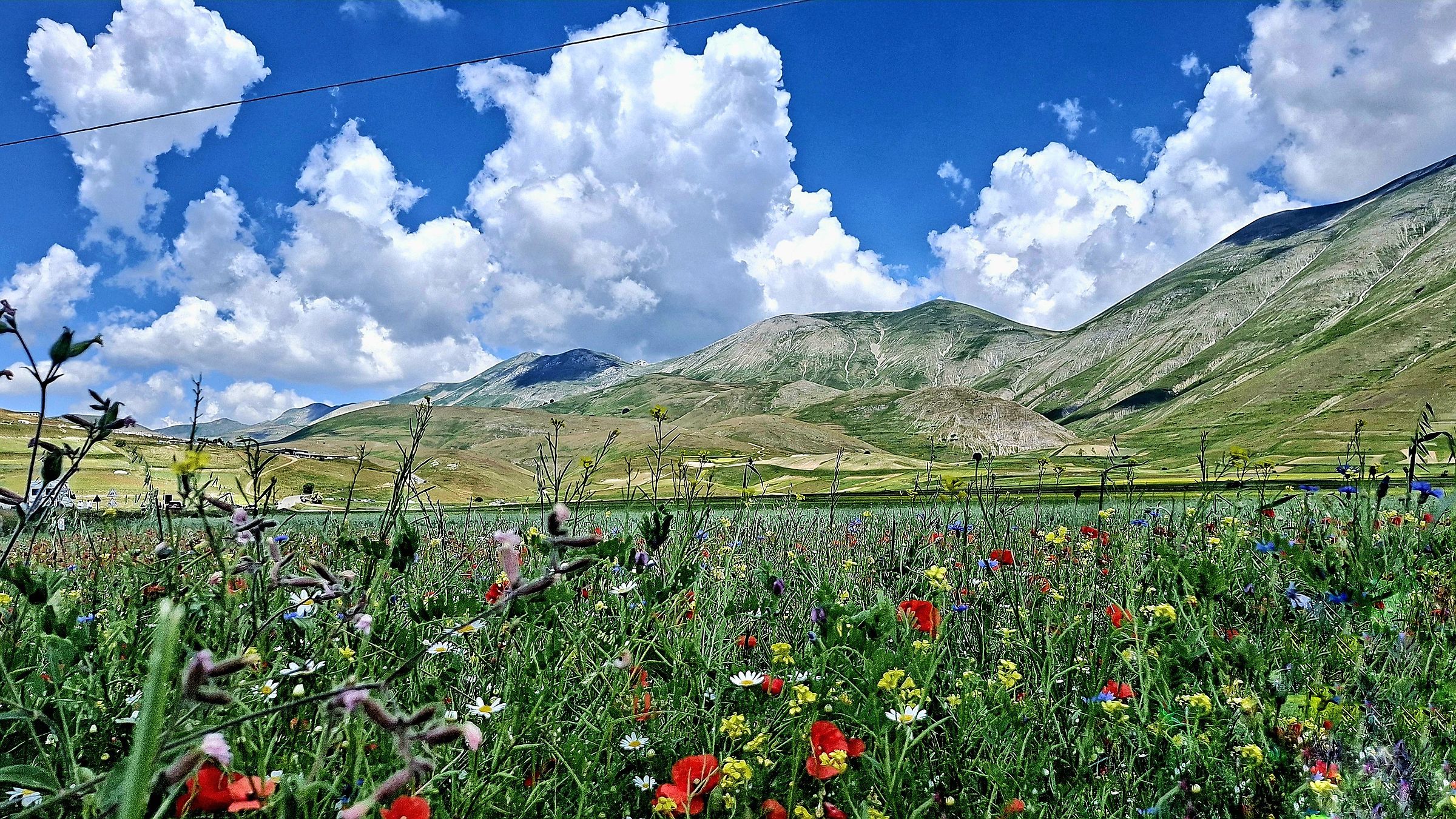 Fioritura