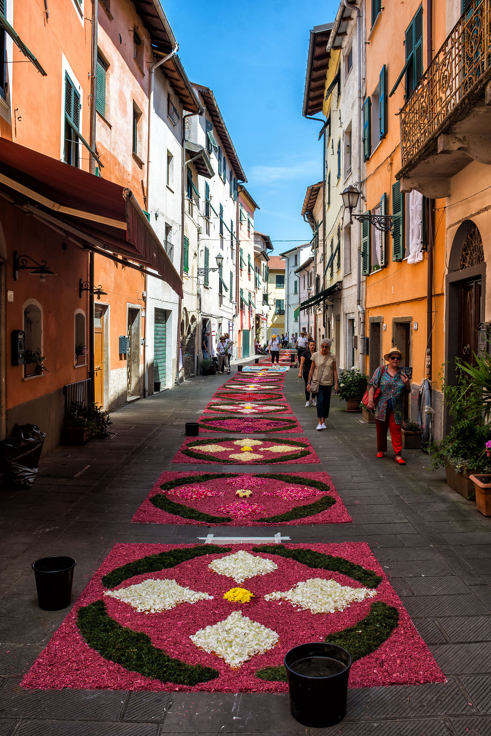 Il viale dell'infiorata