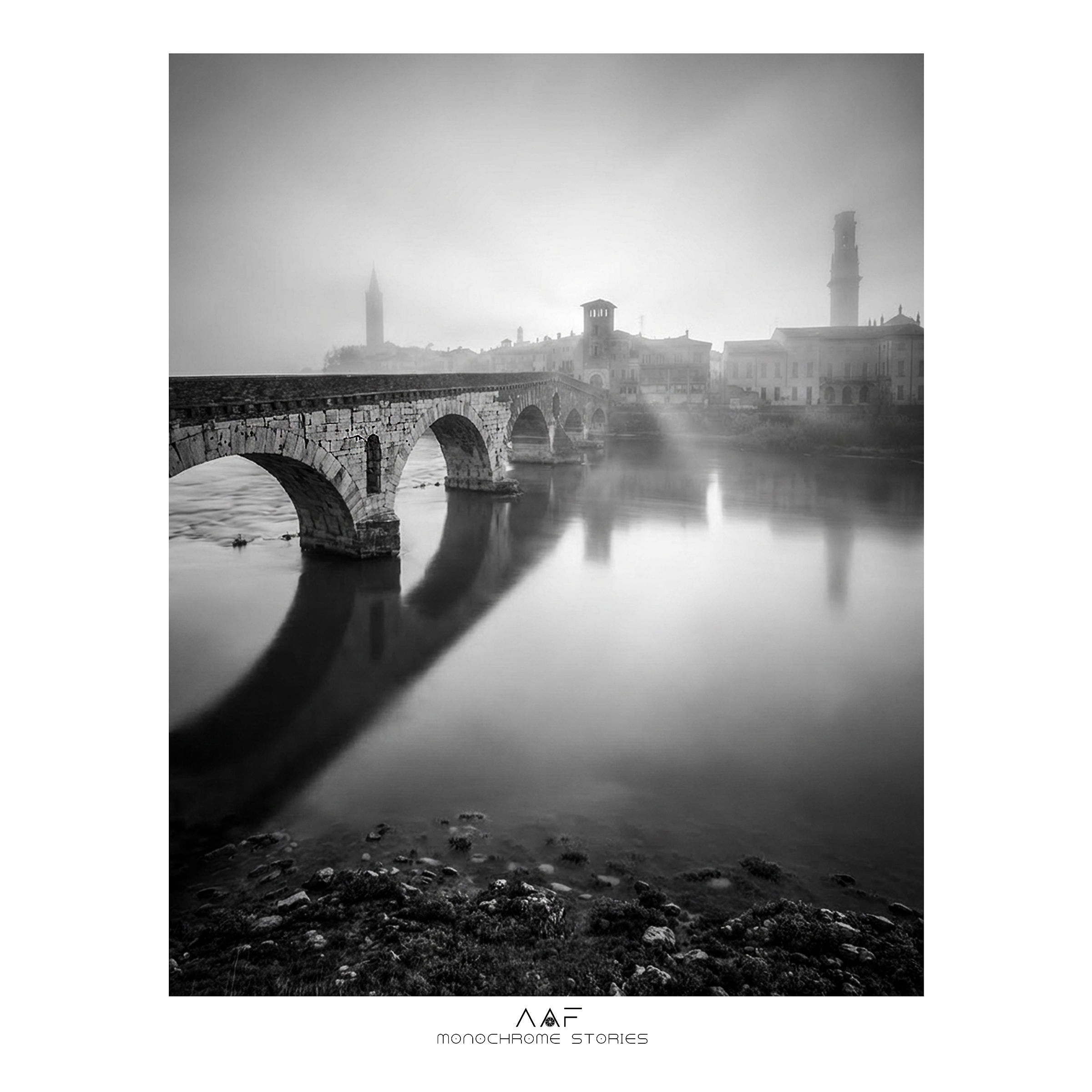 Verona 2011