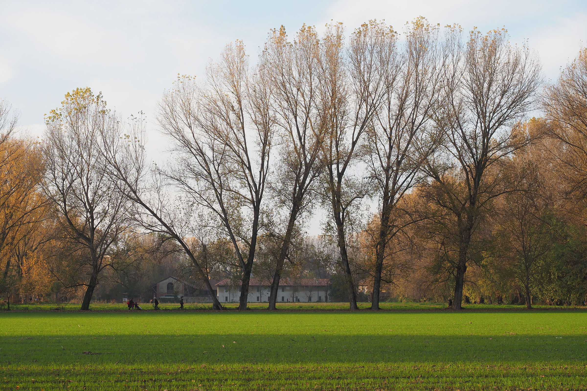 Autunno al parco agricolo