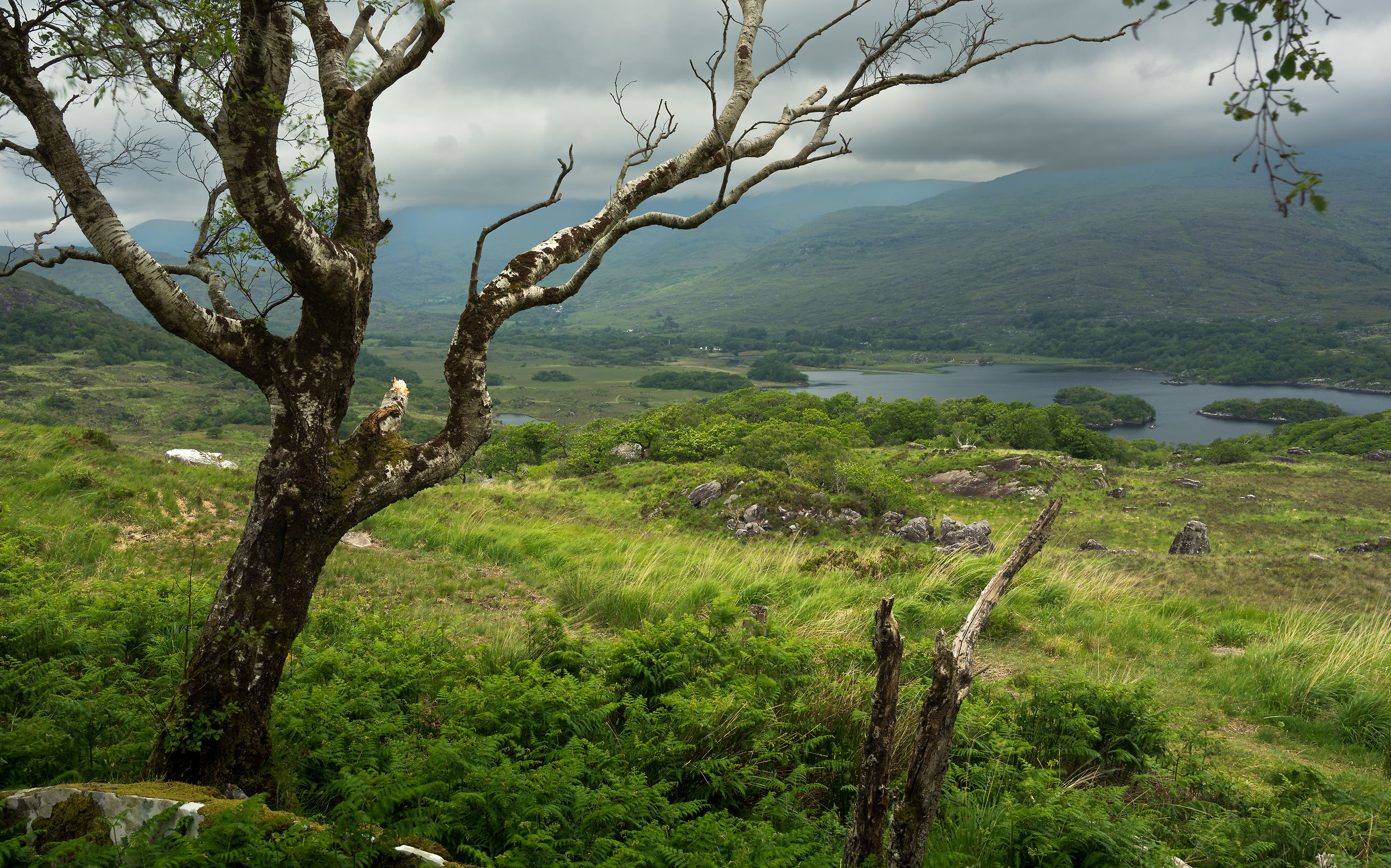 Parco Nazionale di Killarney