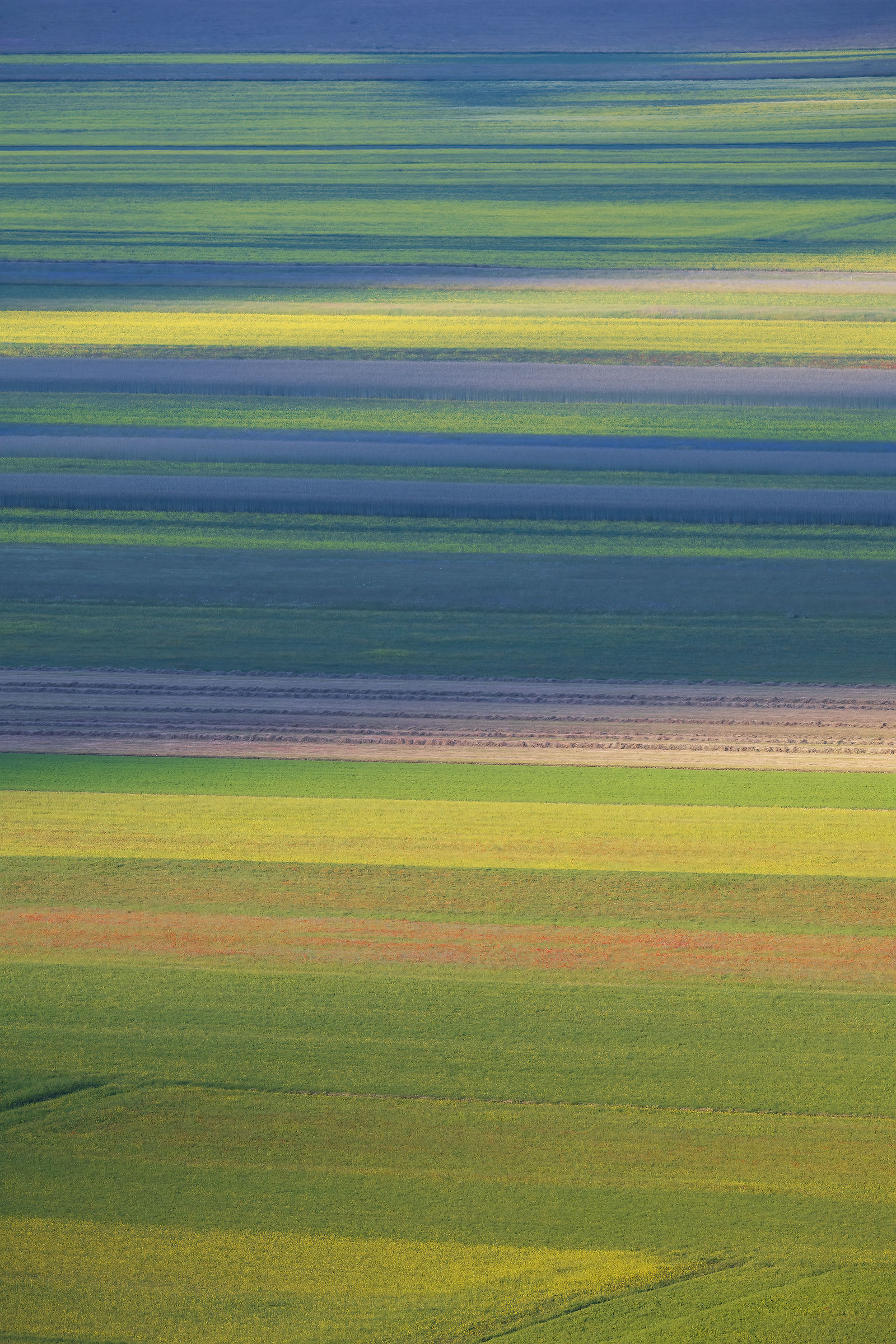 Castelluccio 2026
