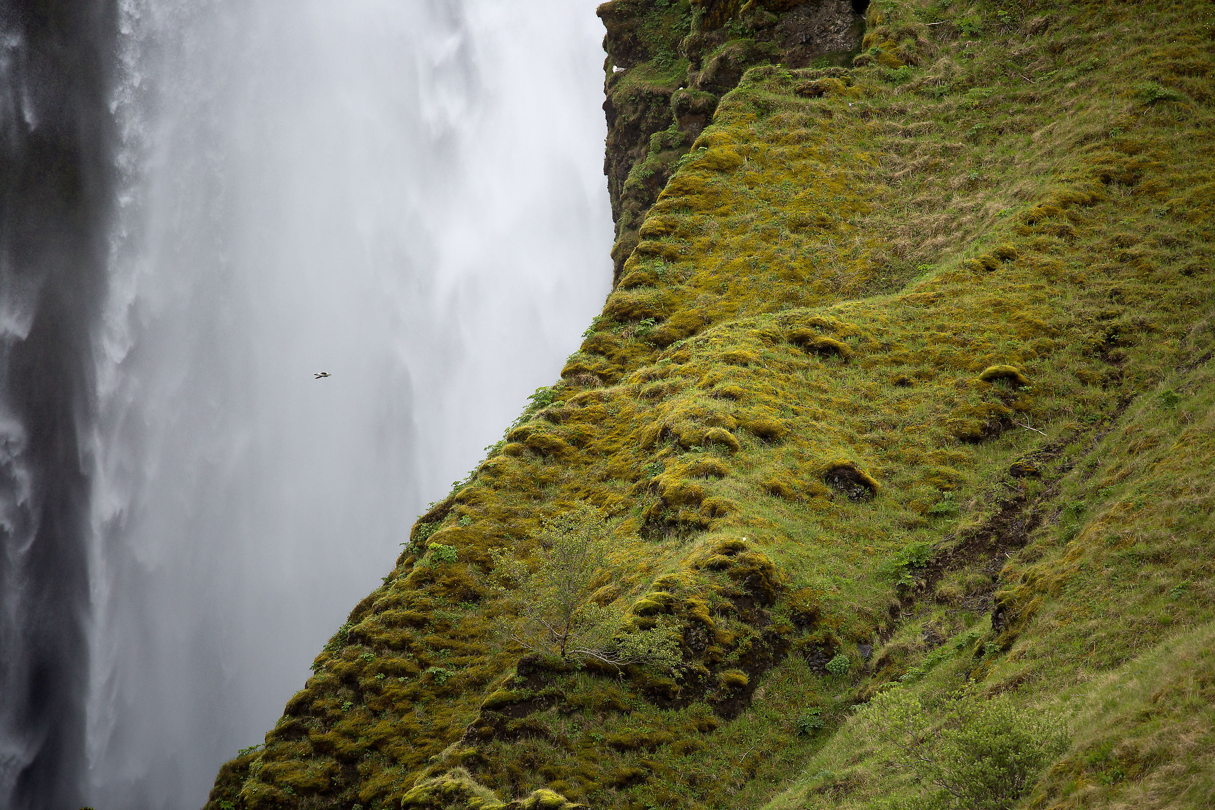 Skogafoss