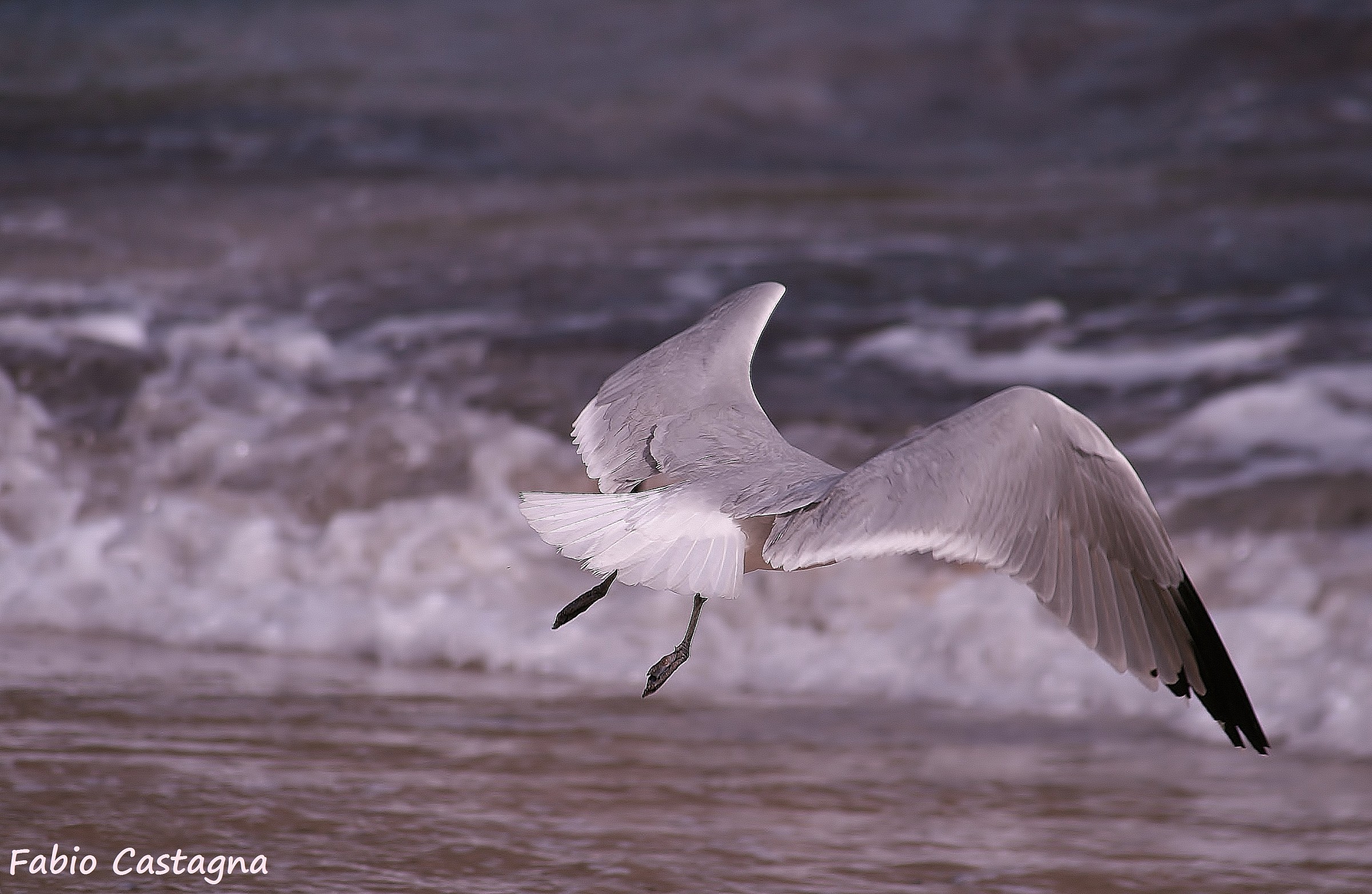 Today I lost my head!