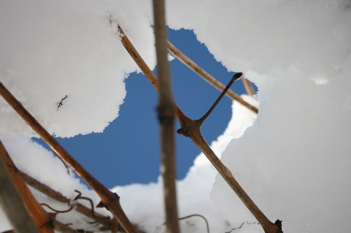 Walkways in the snow