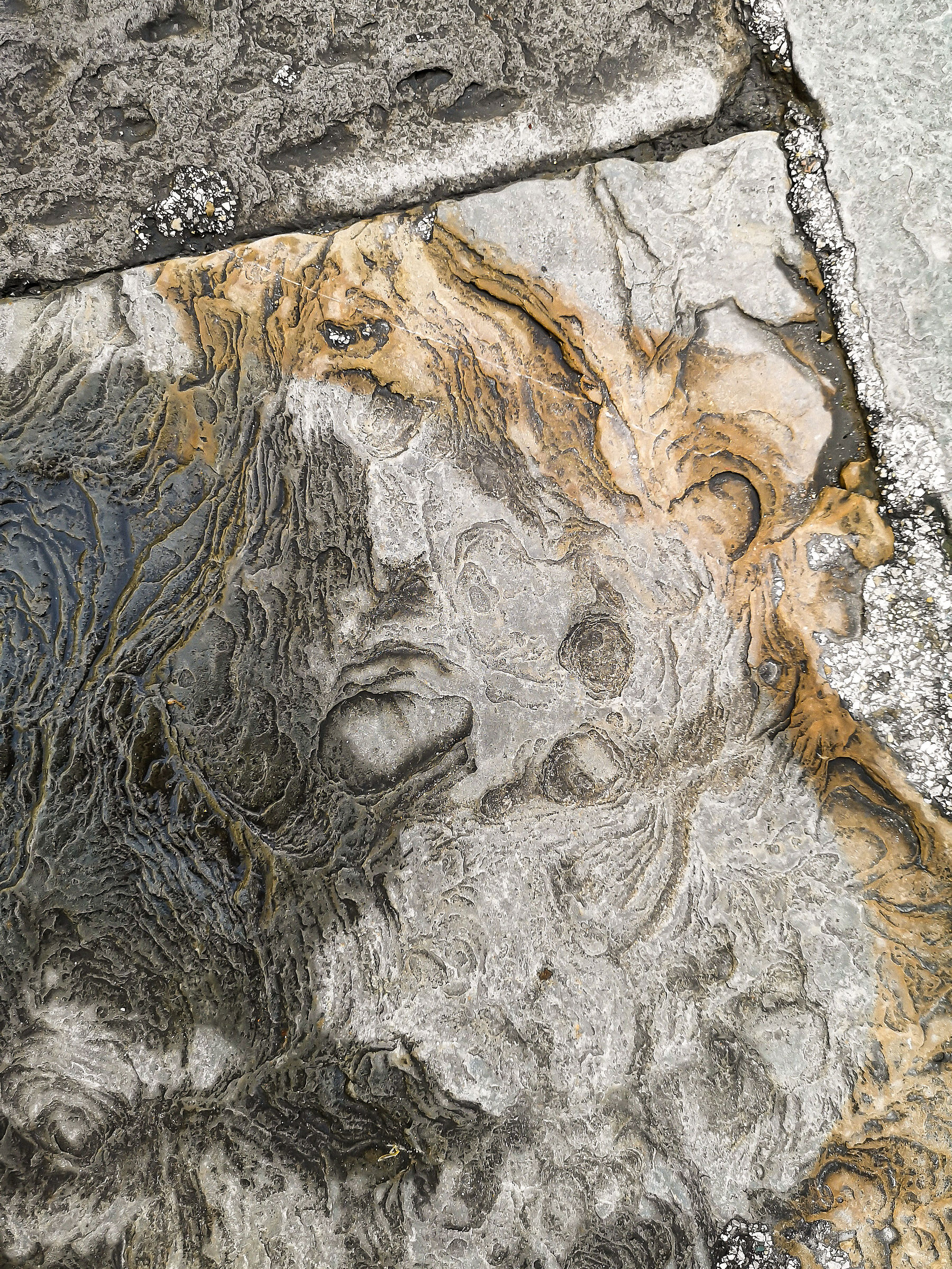 He alo ā he alo – face to face