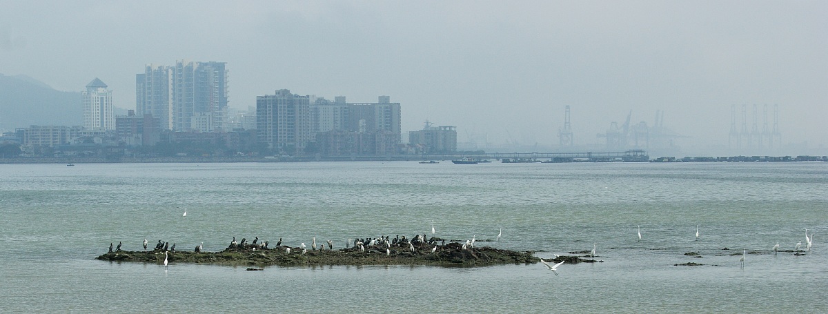 La loro ultima terra