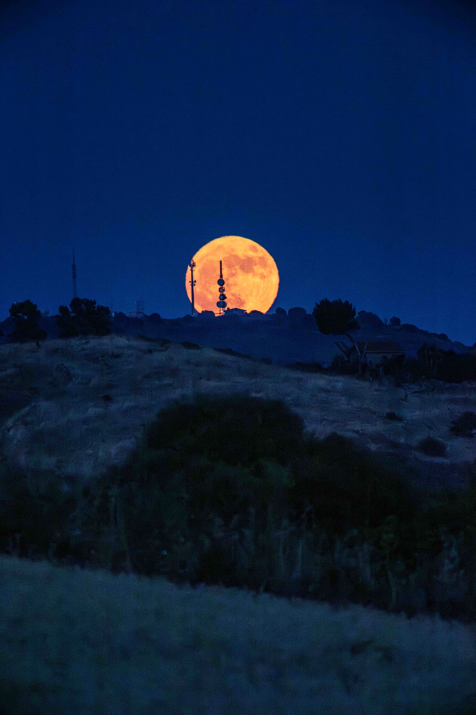 Luna di fragola
