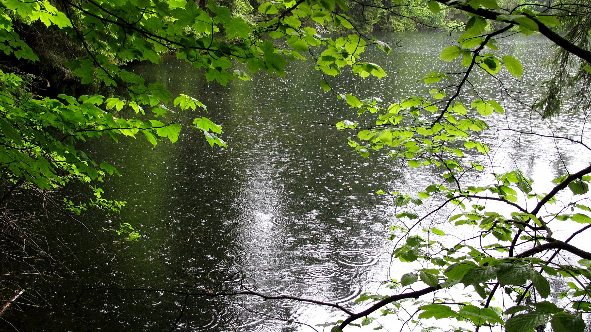 Our bicycle trip ...