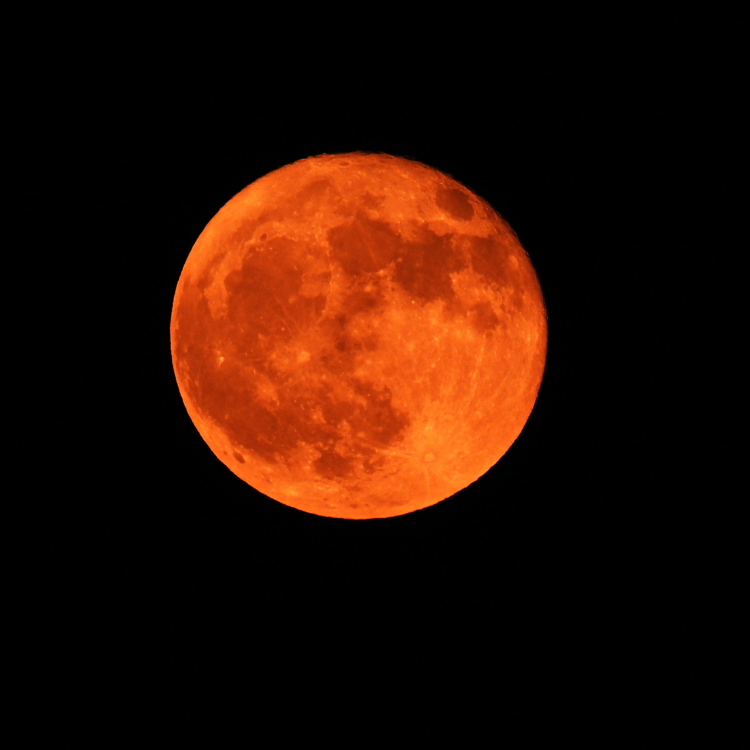 Luna delle Fragole