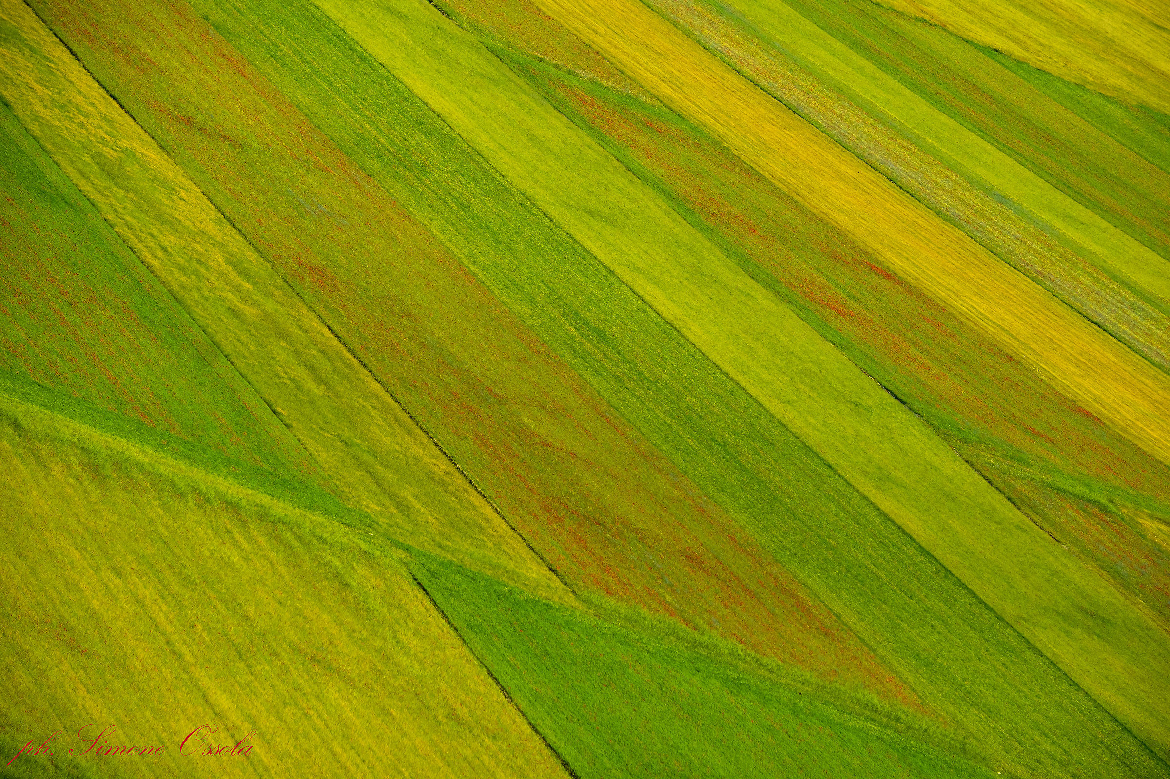 Pattern di Castelluccio di Norcia