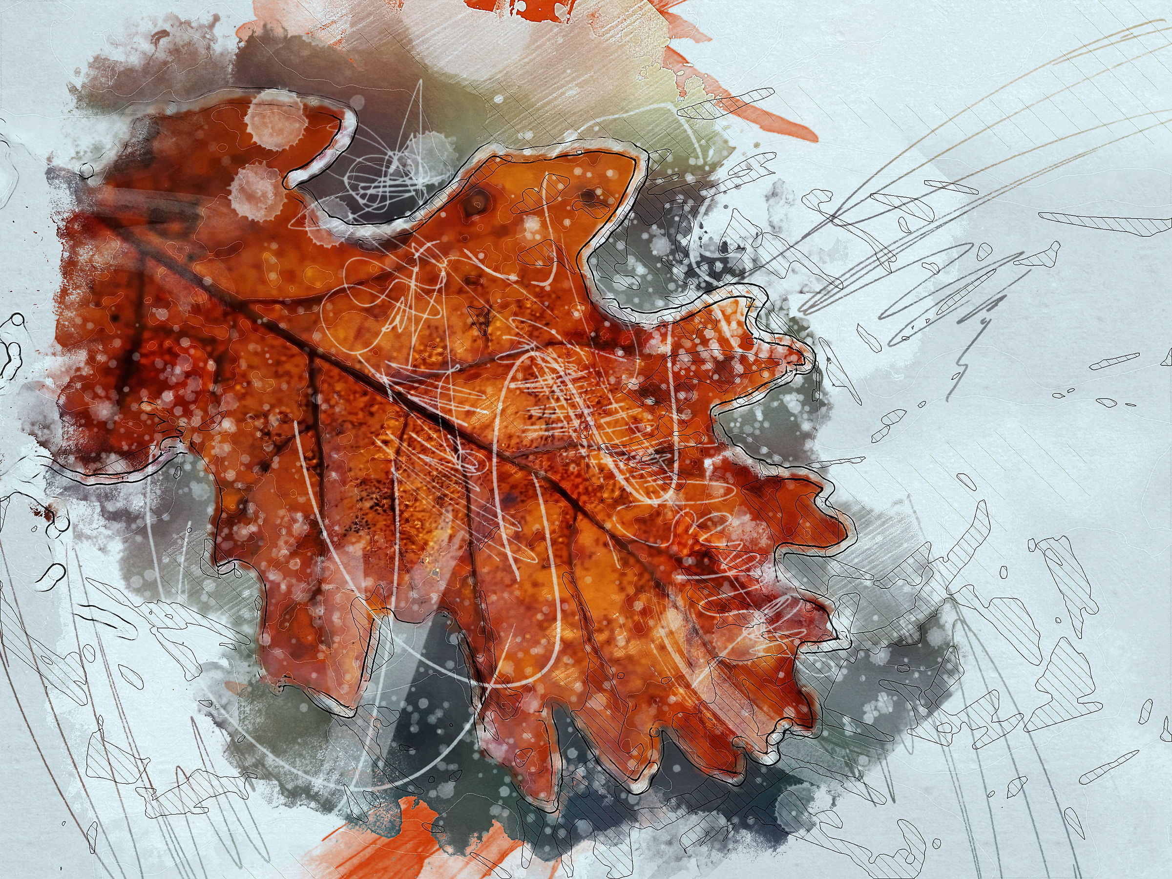 Paintingraphy